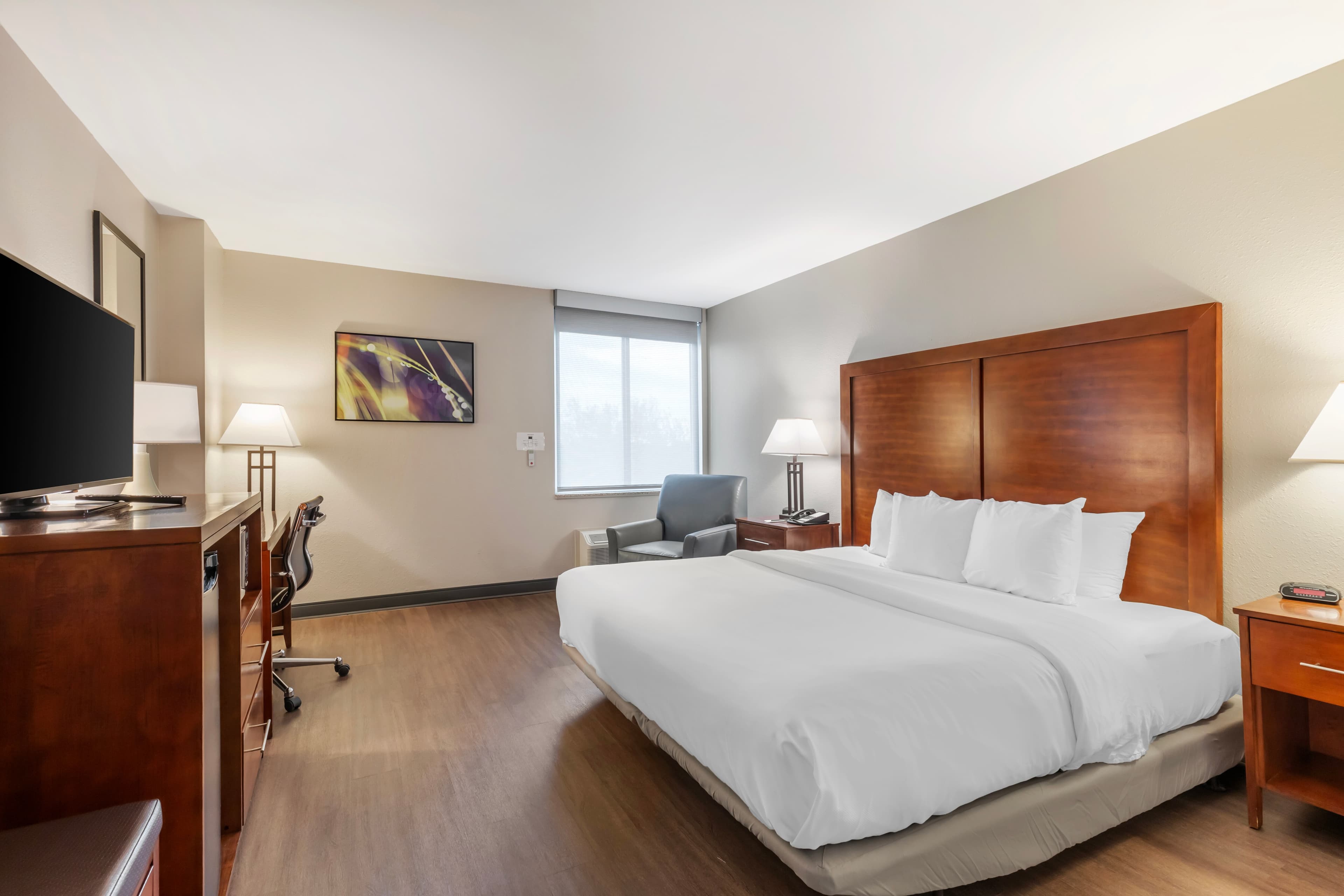 Comfort Inn Conference Center - Image 3