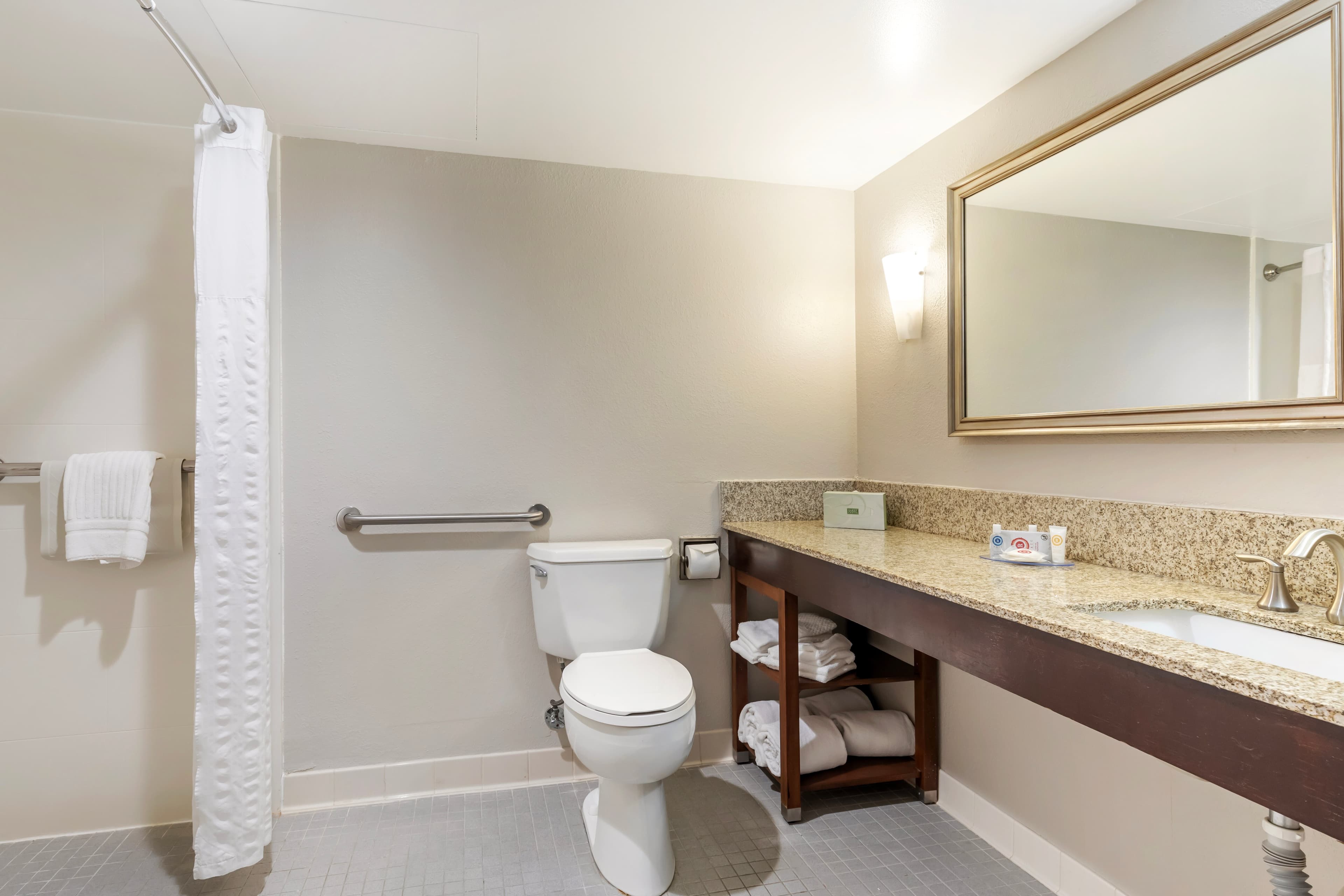 Comfort Inn Conference Center — 6