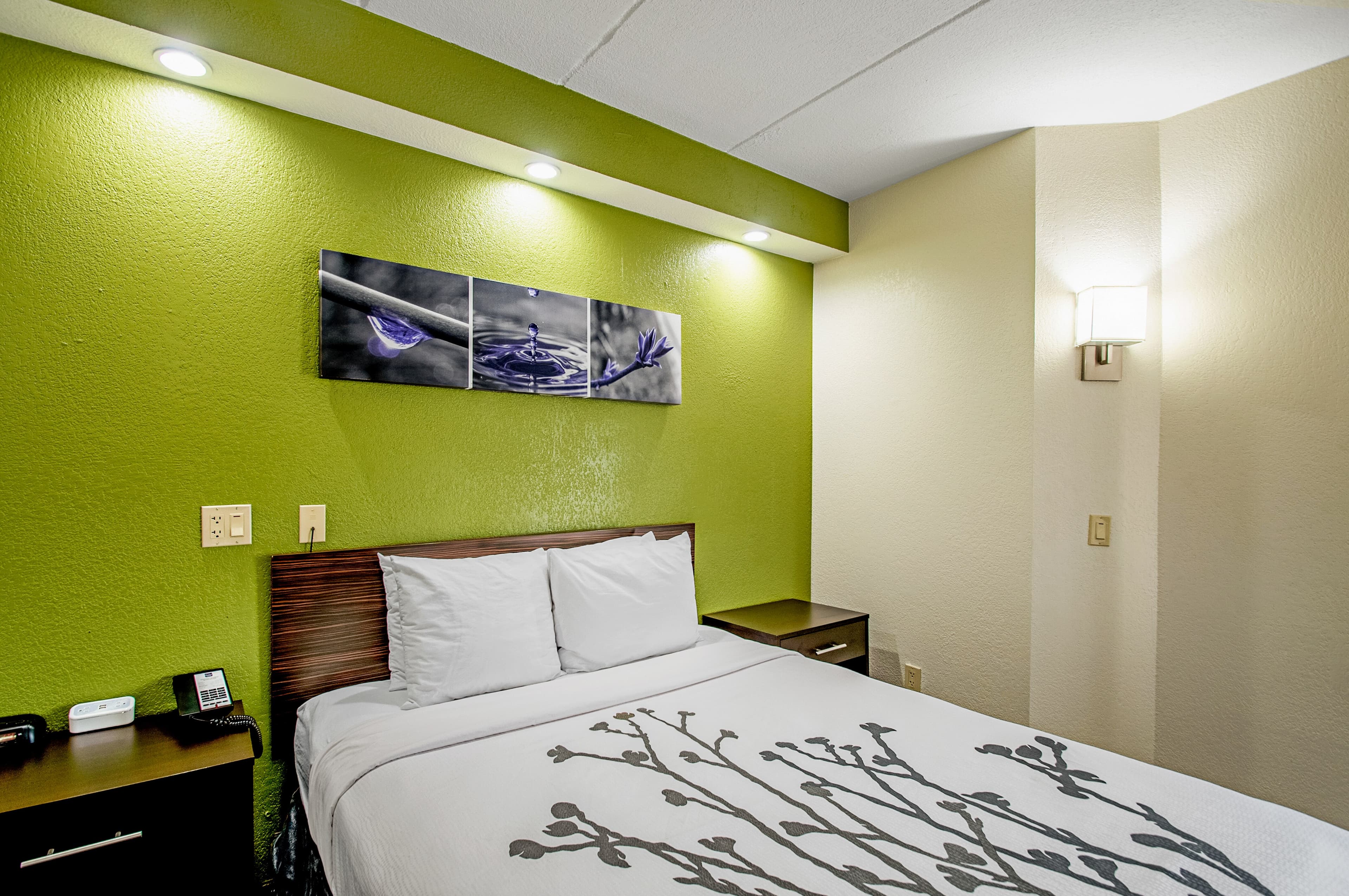 Sleep Inn Frederick - Ballenger Creek - Image 3