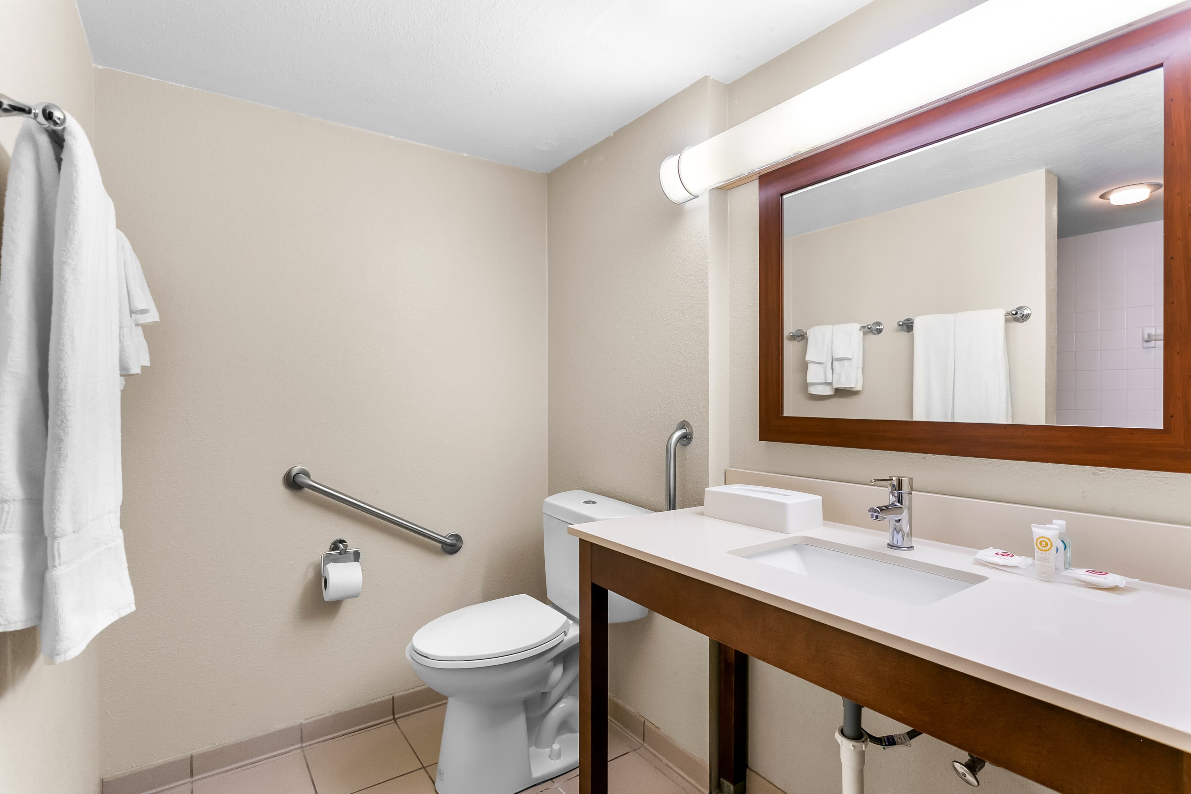 Comfort Inn Red Horse Frederick - Image 5