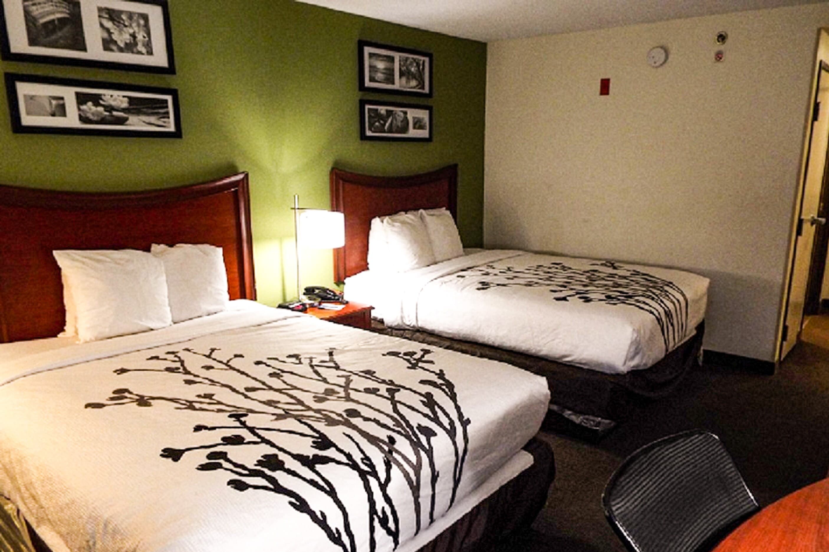 Sleep Inn & Suites Laurel near Fort Meade - Image 3