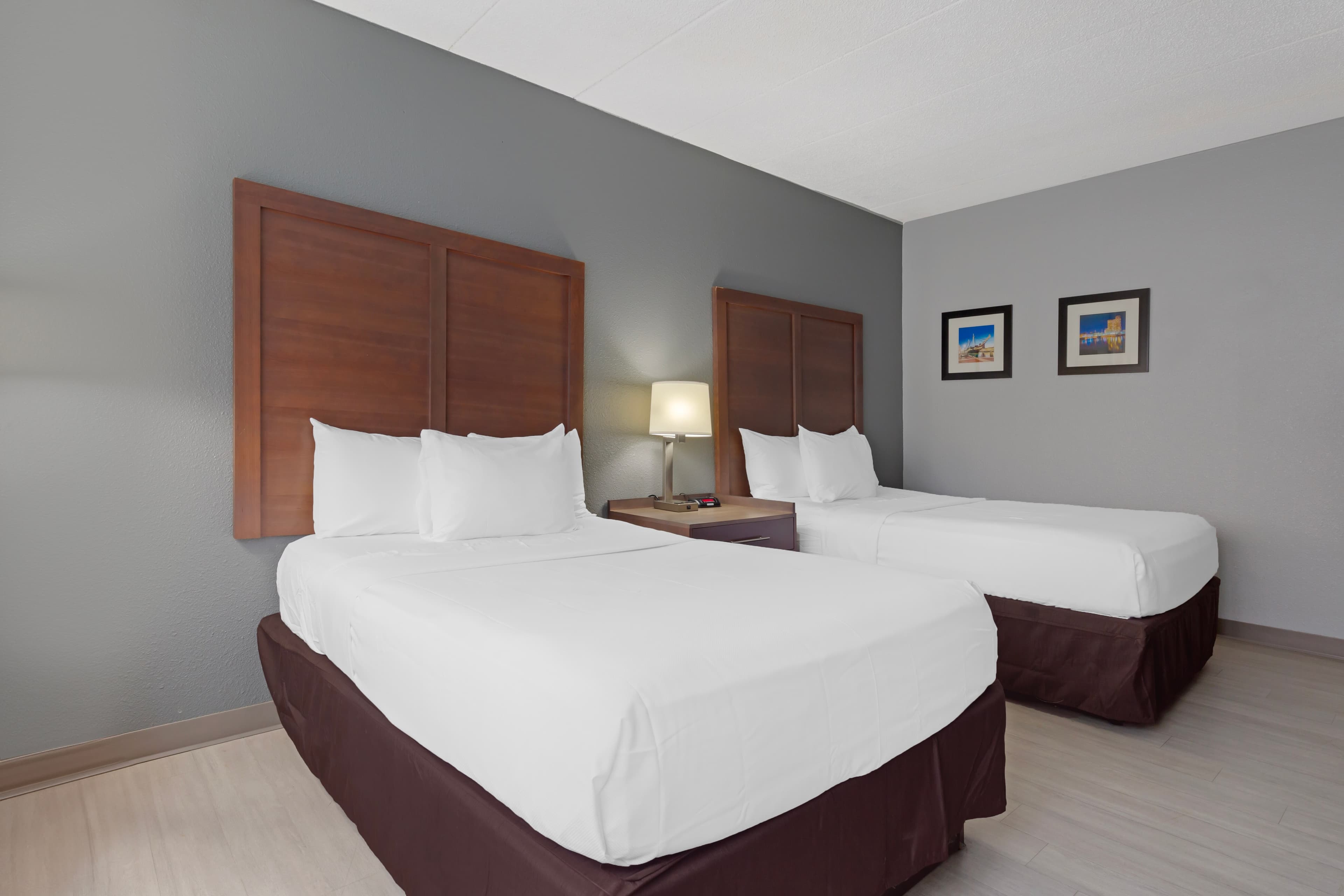 Clarion Hotel & Suites BWI Airport North - Image 3