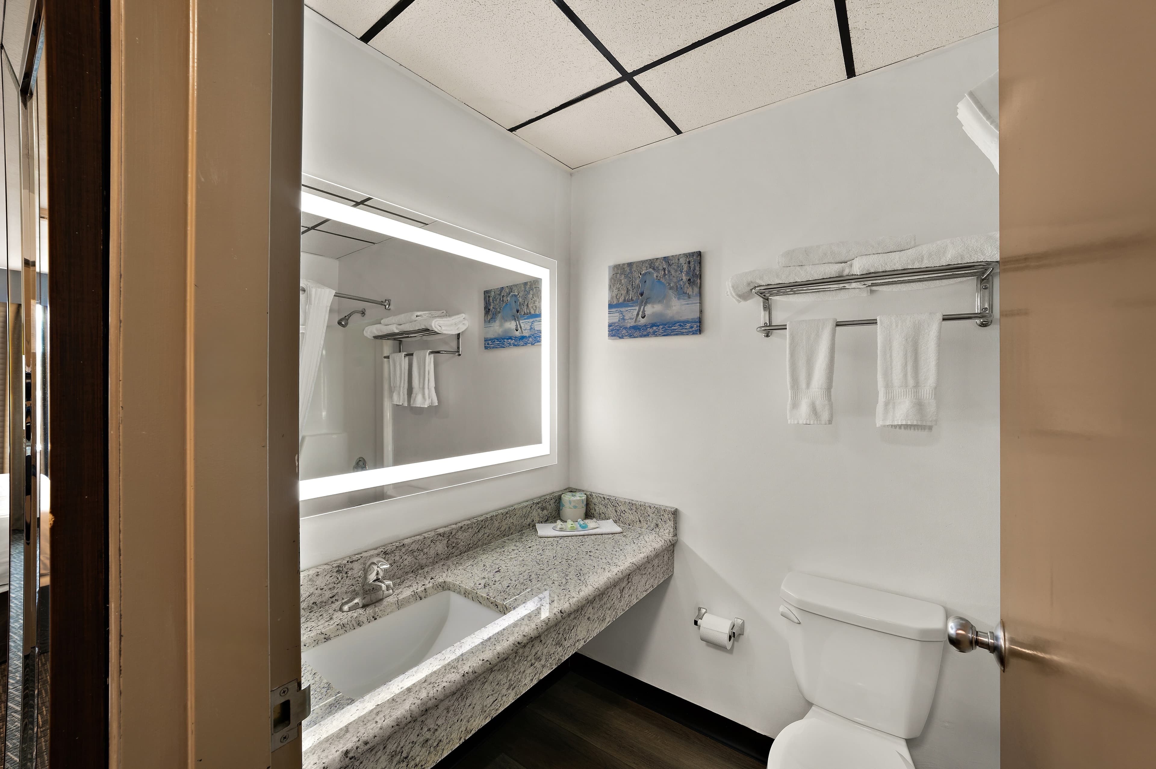 Quality Inn & Suites Caribou — 16