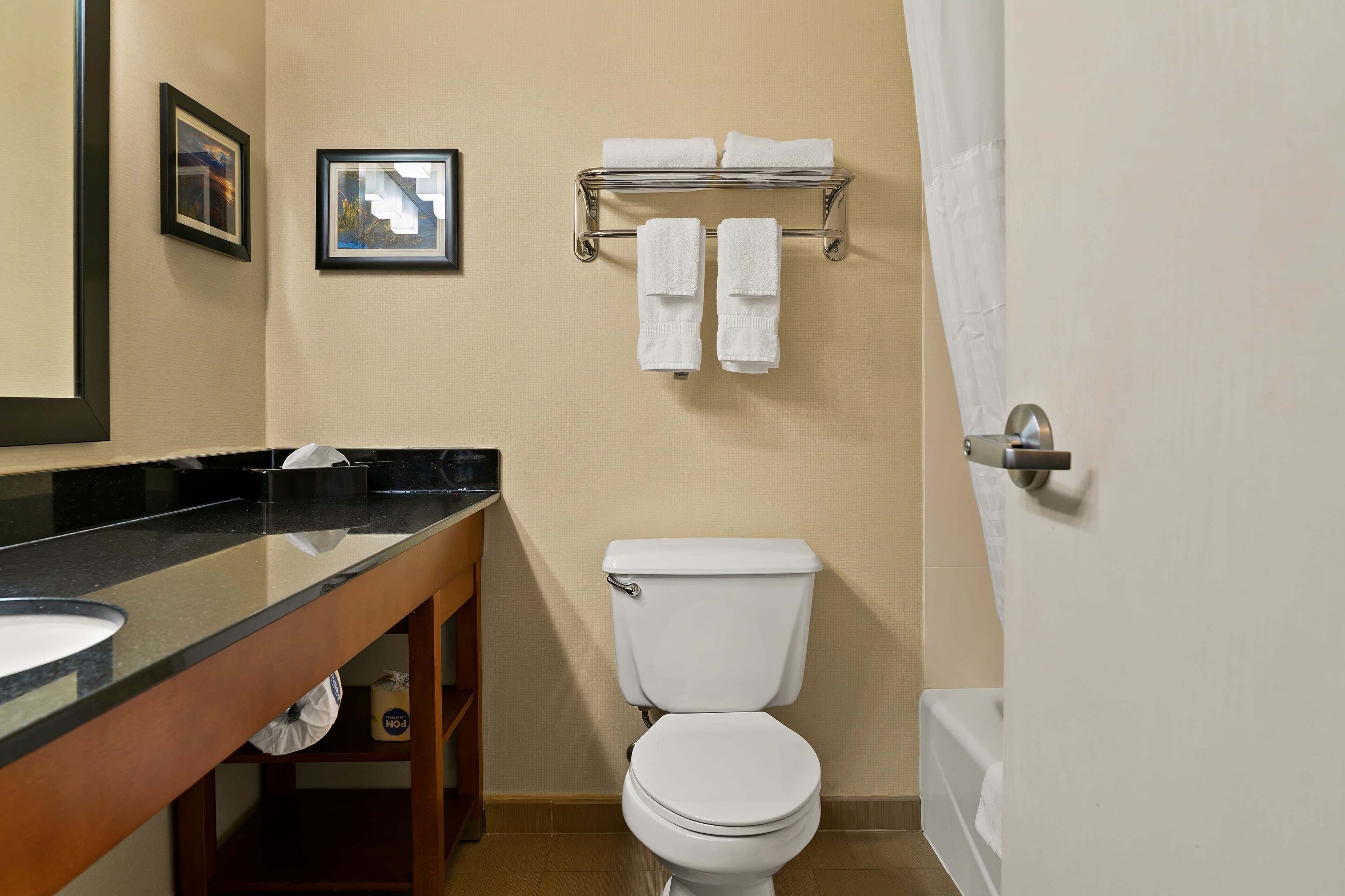 Comfort Suites Saginaw North — 20