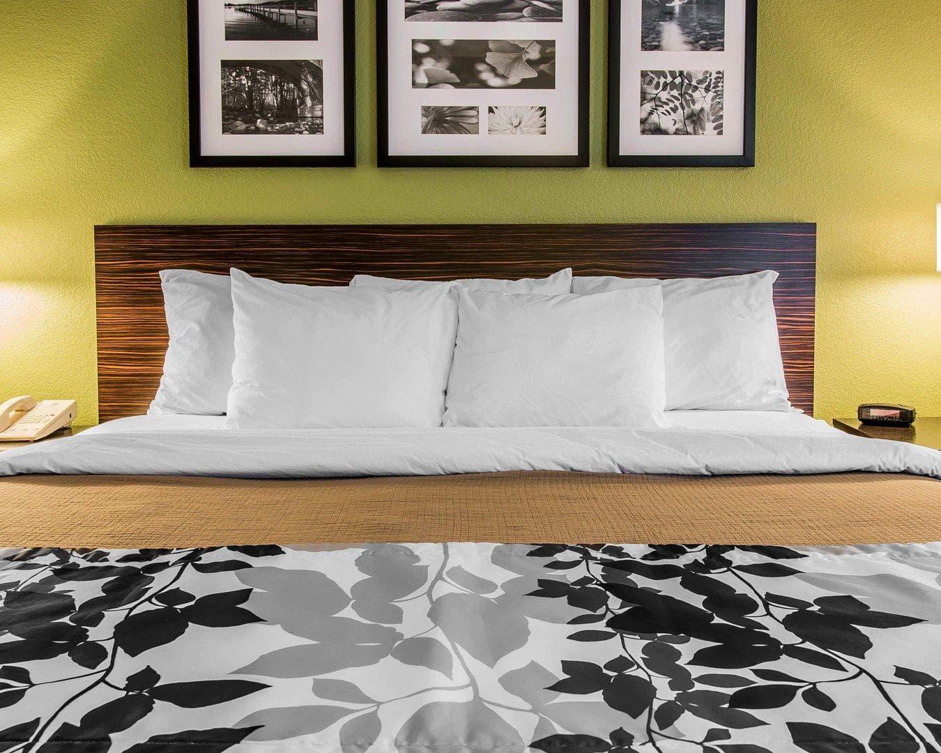 Sleep Inn Midland - Bay City West — 13