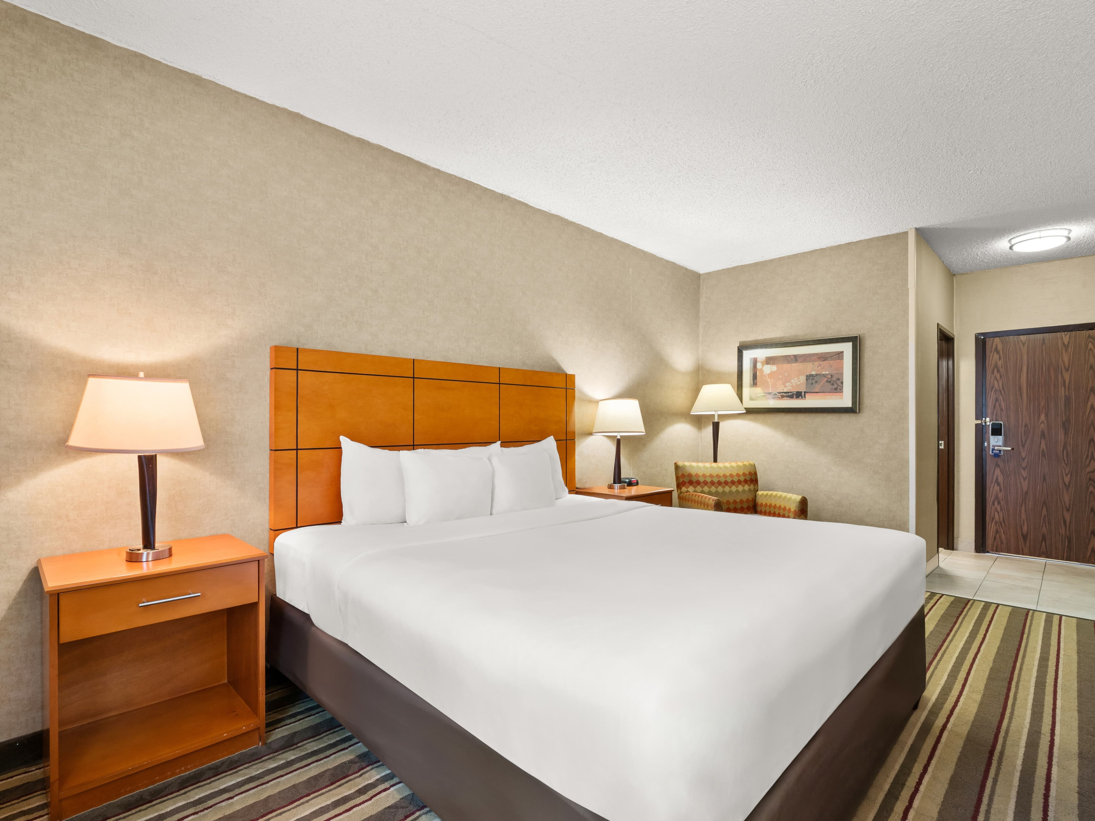 Comfort Inn Metro Airport — 8