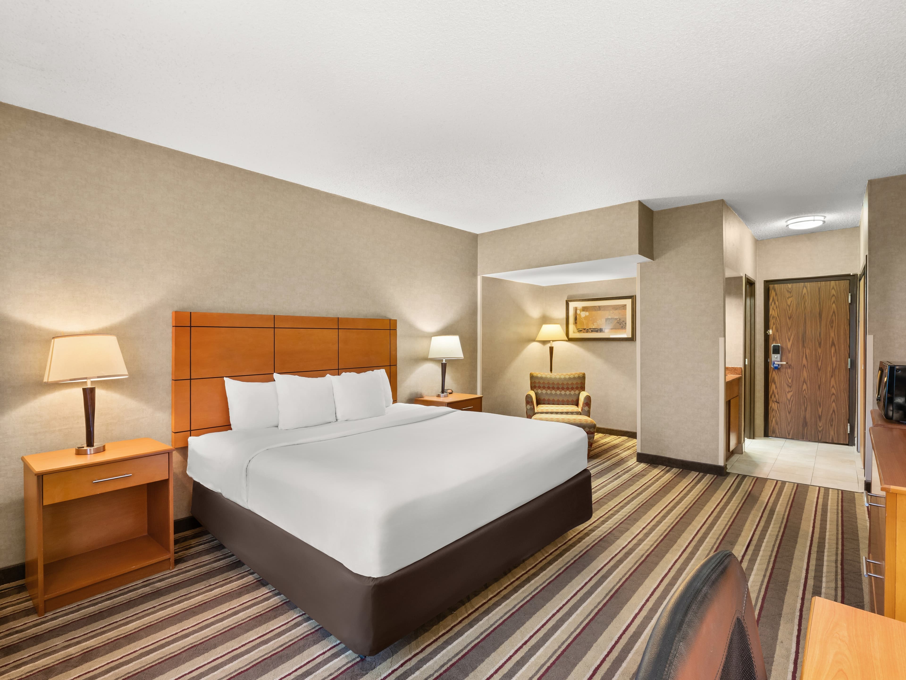 Comfort Inn Metro Airport — 19