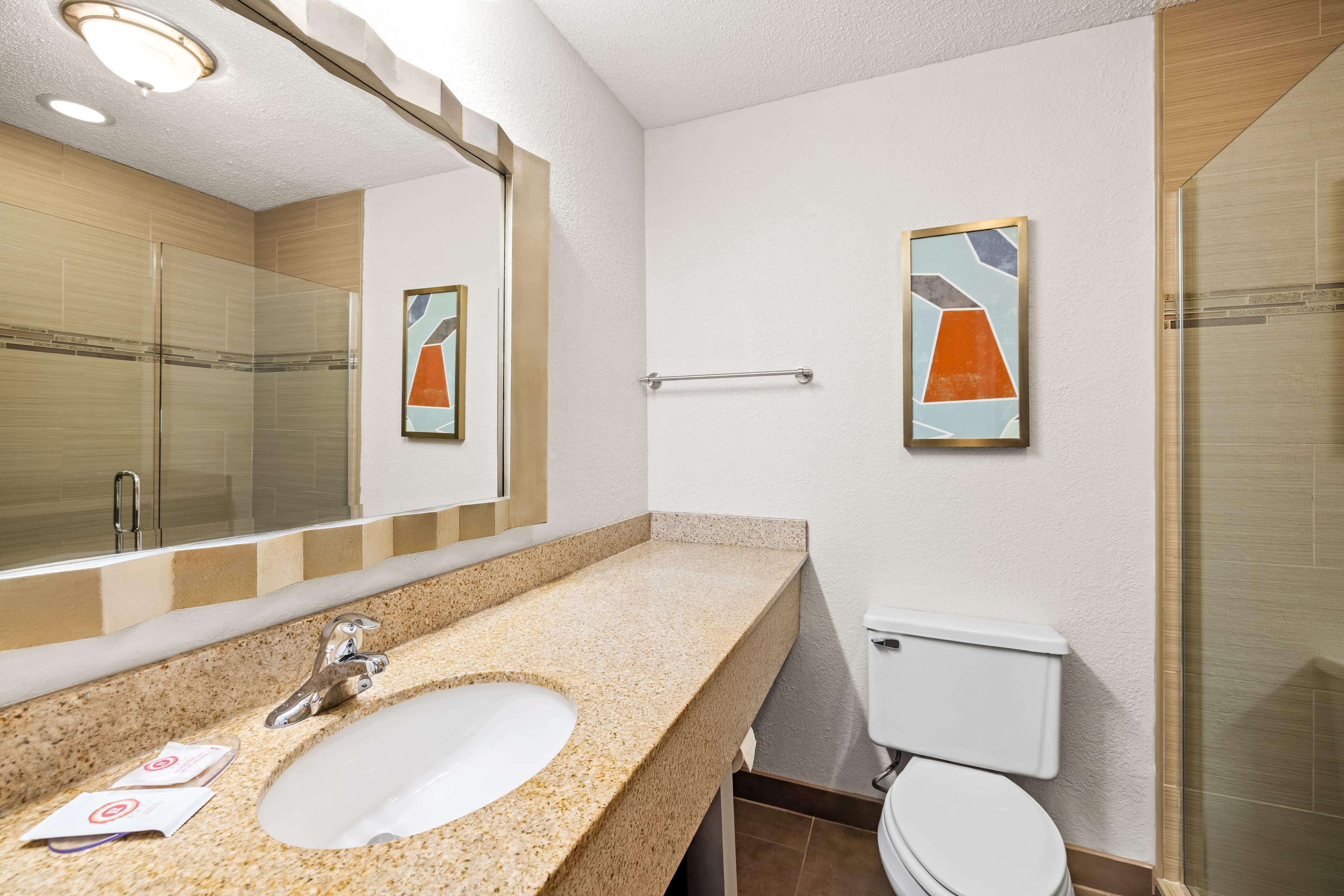 Comfort Inn & Suites and Conference Center — 13