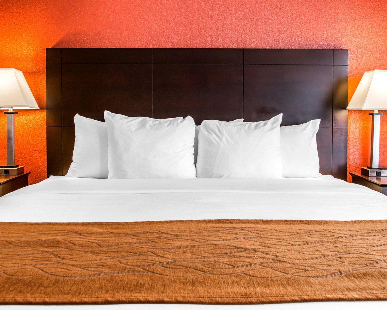 Comfort Inn & Suites and Conference Center - Image 2