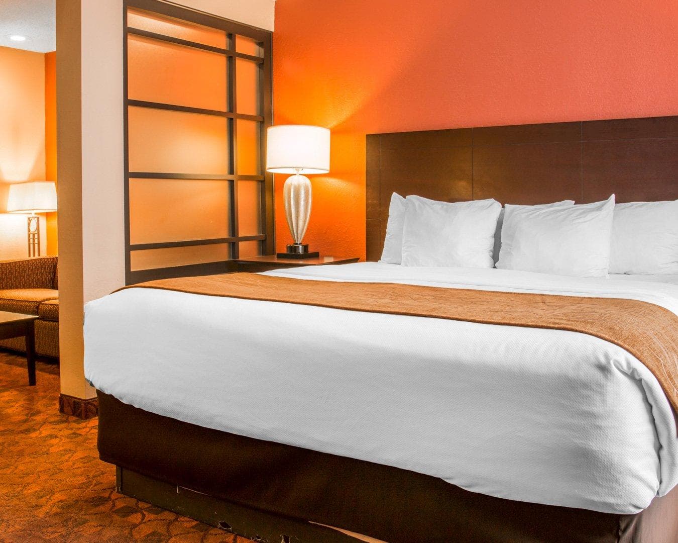Comfort Inn & Suites and Conference Center - Image 1