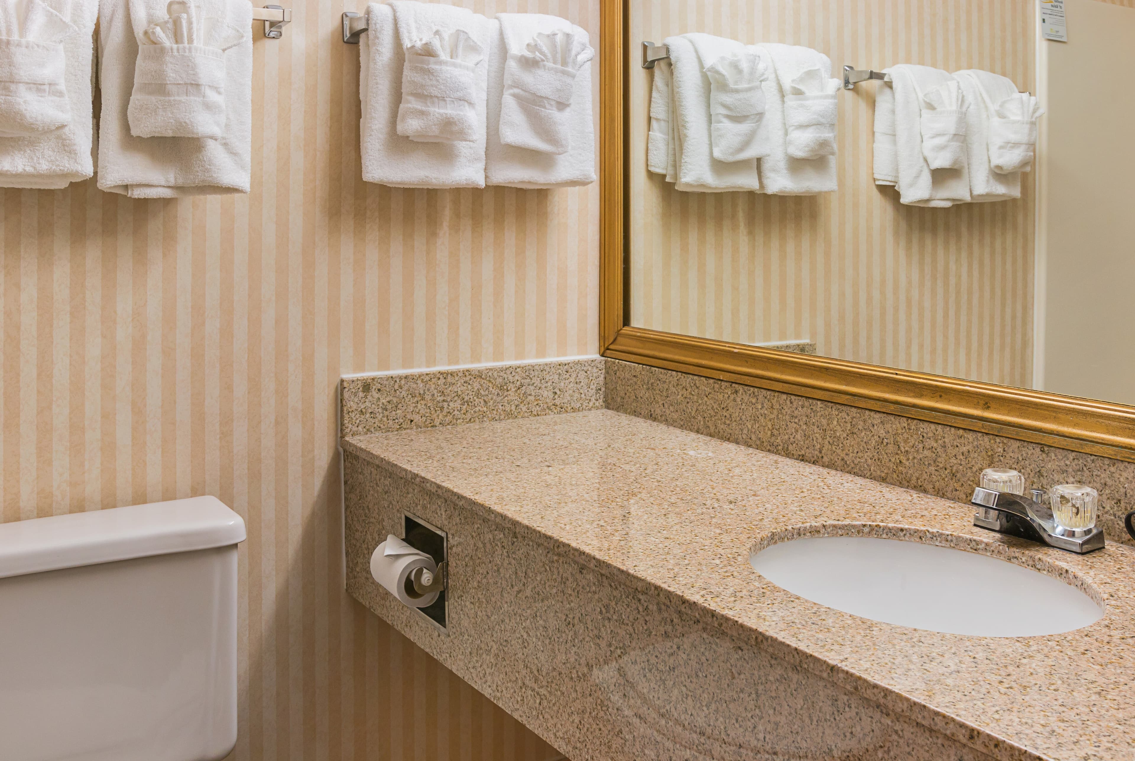 Quality Inn & Suites Detroit Metro Airport — 11