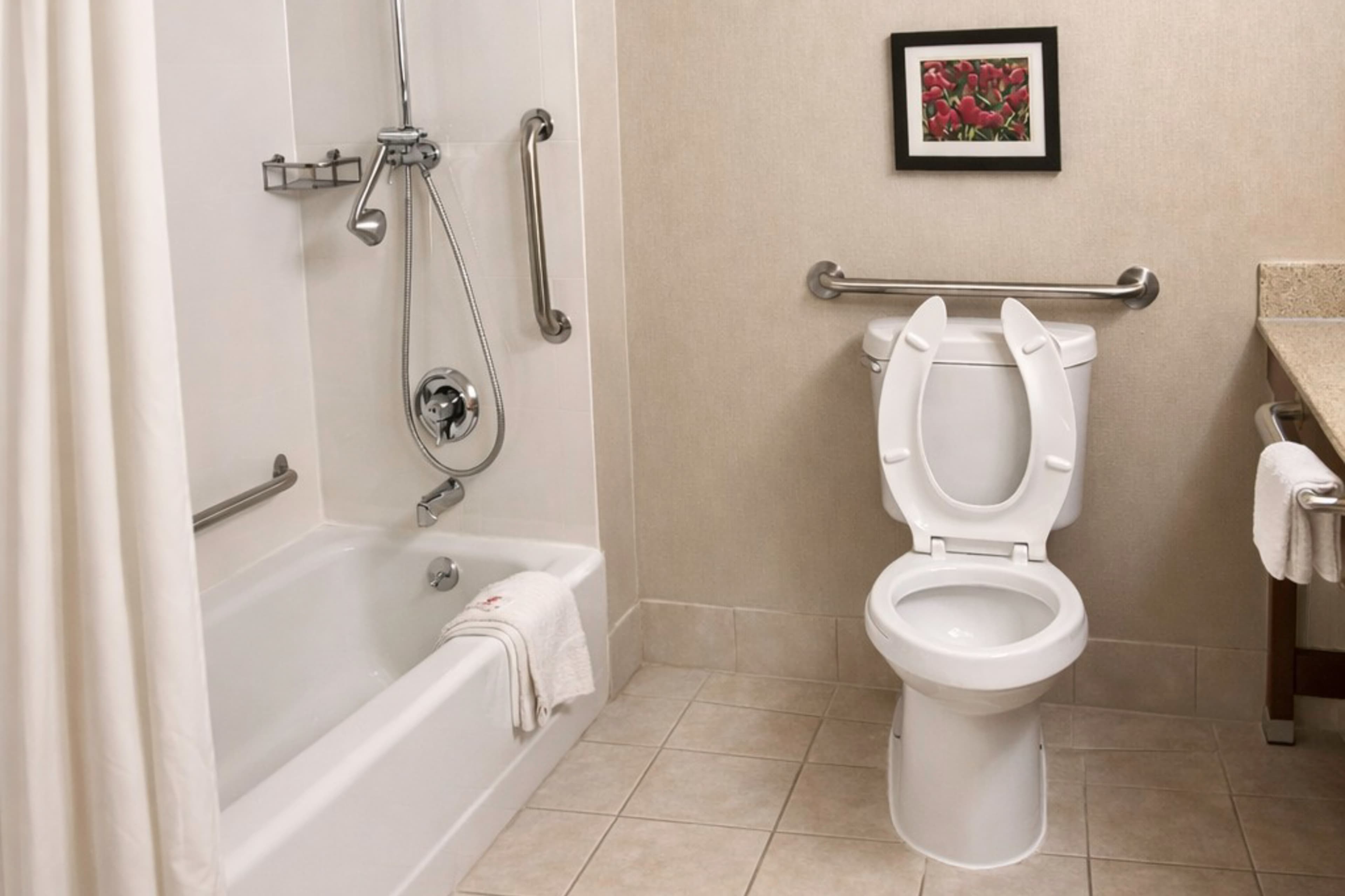 Comfort Inn Farmington Hills - Detroit Northwest — 37