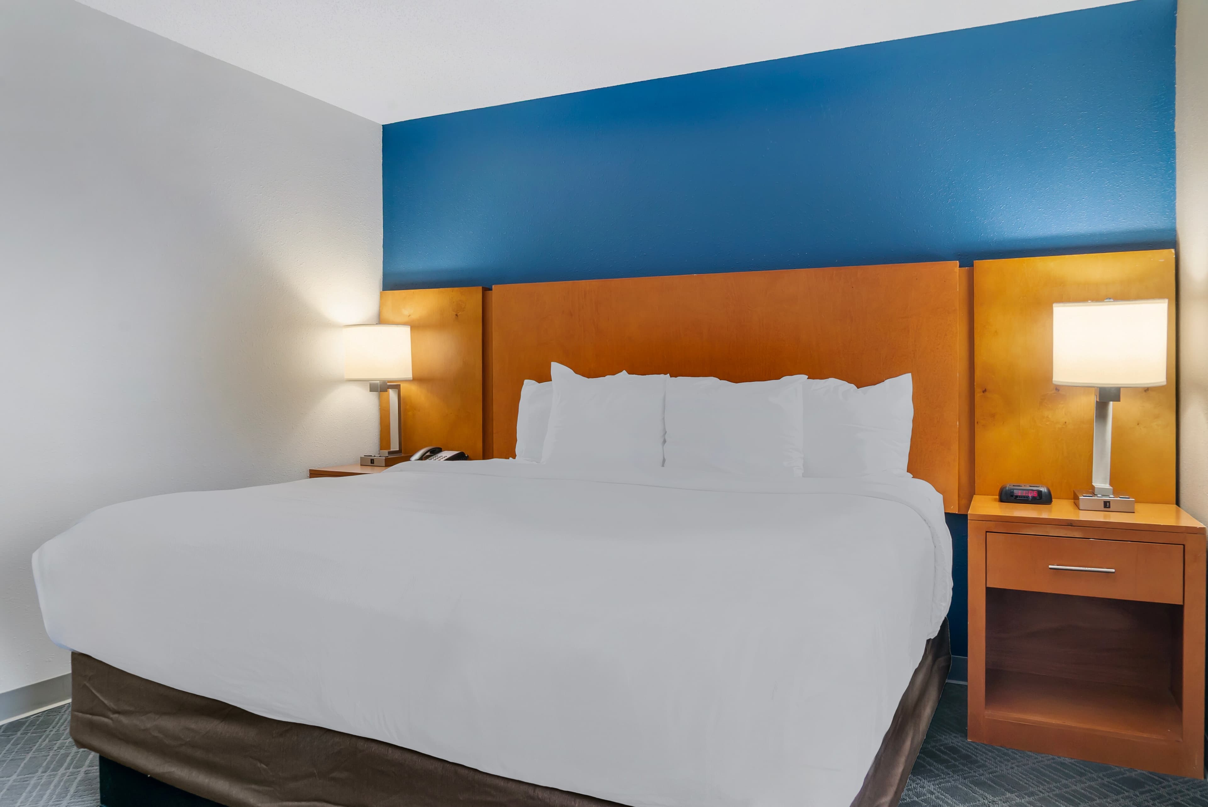 Comfort Suites Auburn Hills-Detroit — 9