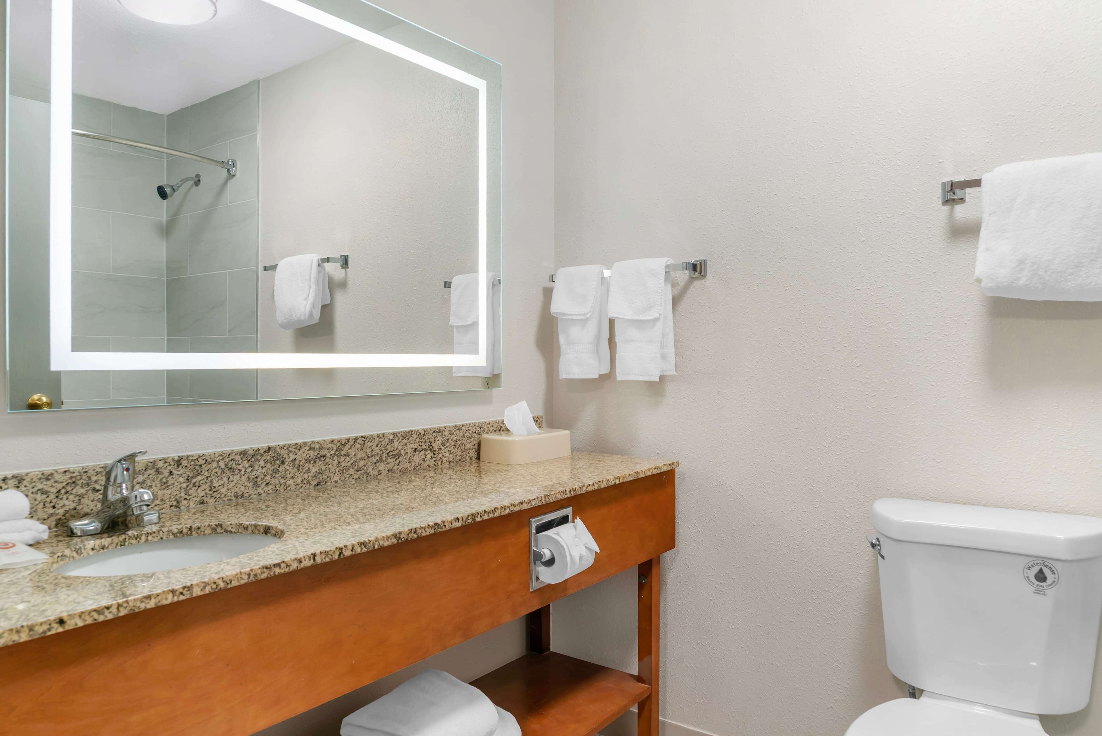 Comfort Suites Auburn Hills-Detroit — 19