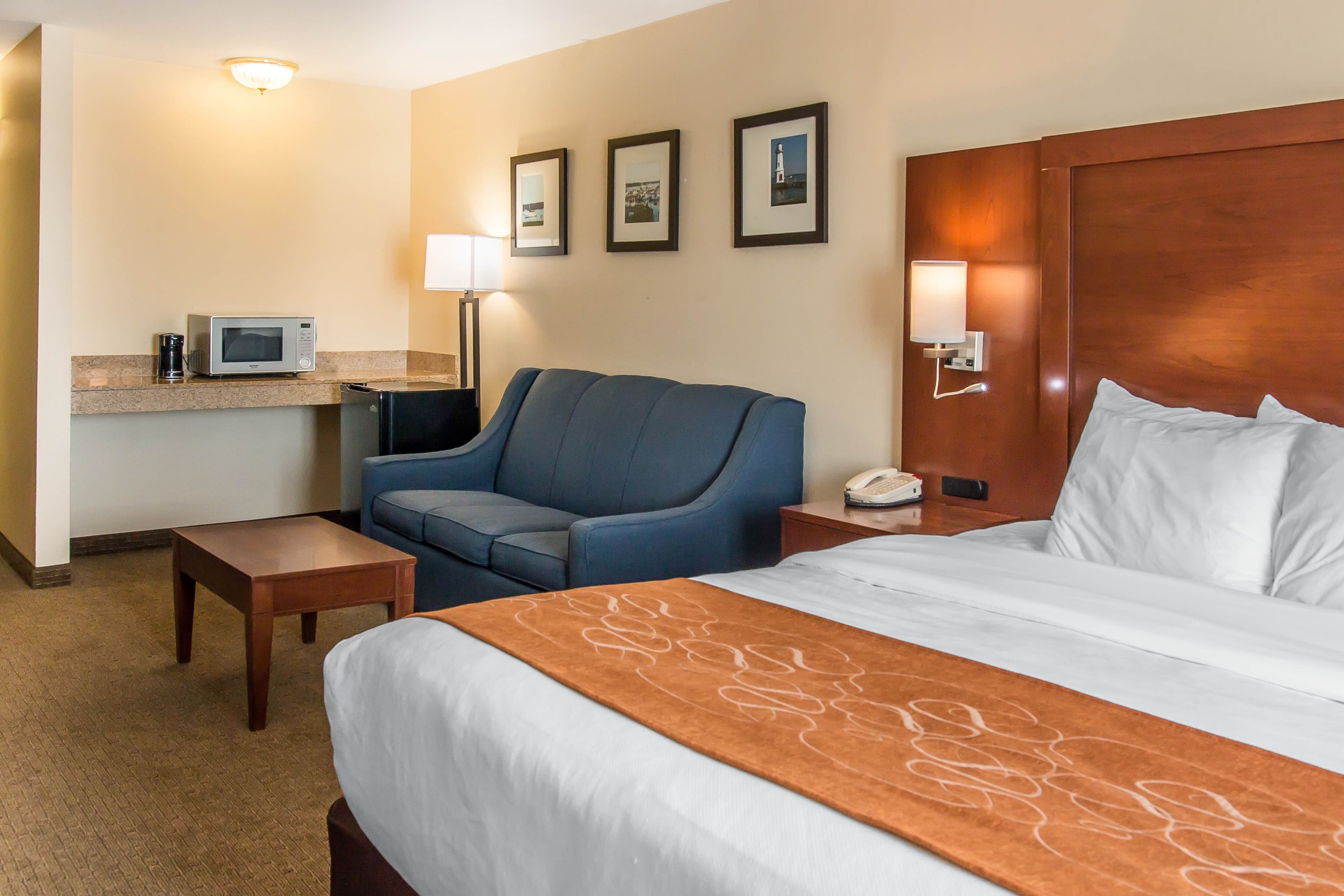 Comfort Suites Wixom - Novi - Image 3