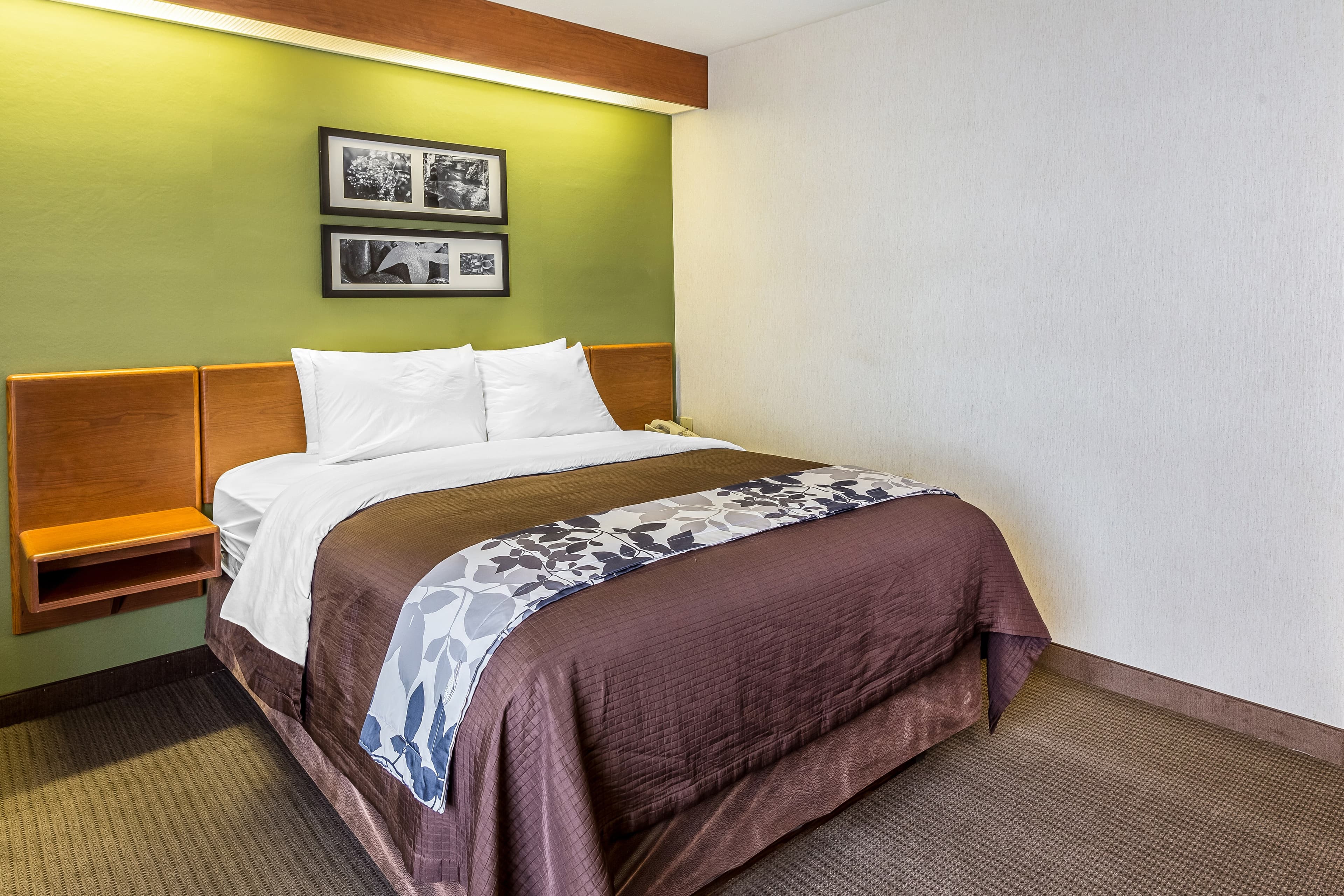 Sleep Inn & Suites Bay View Acme - Traverse City - Image 2