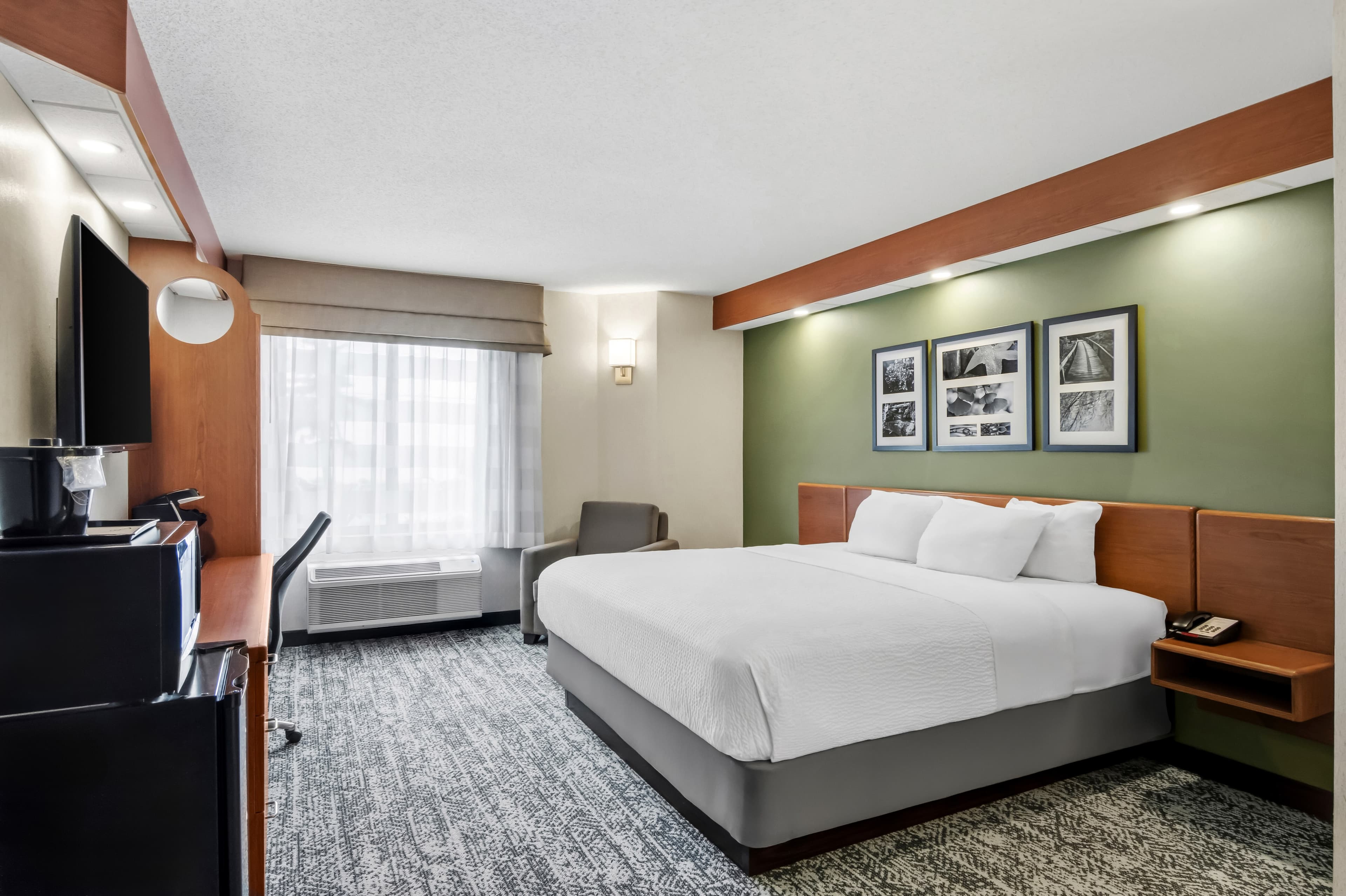 1 King Bed - Image 1