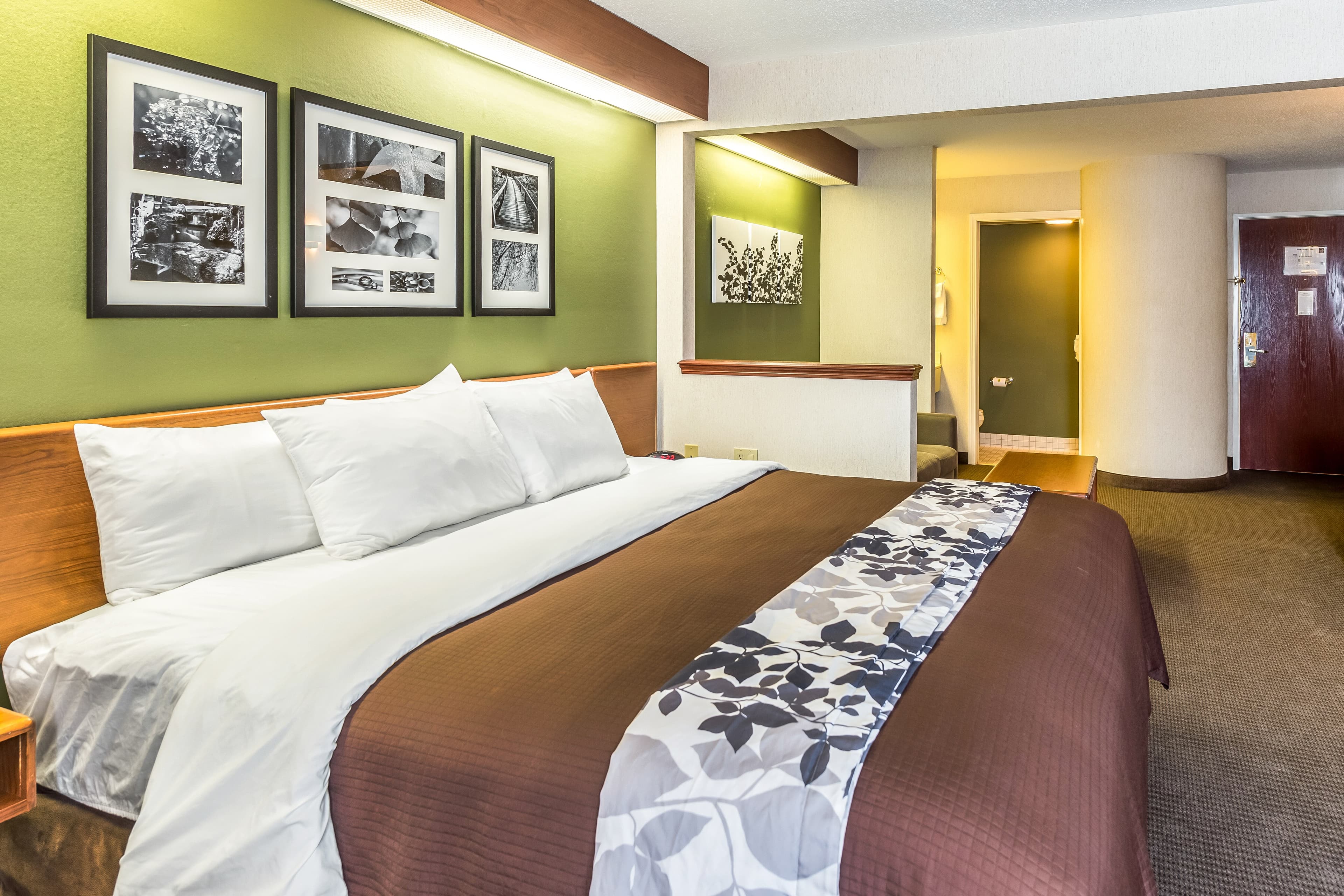 Sleep Inn & Suites Bay View Acme - Traverse City — 29