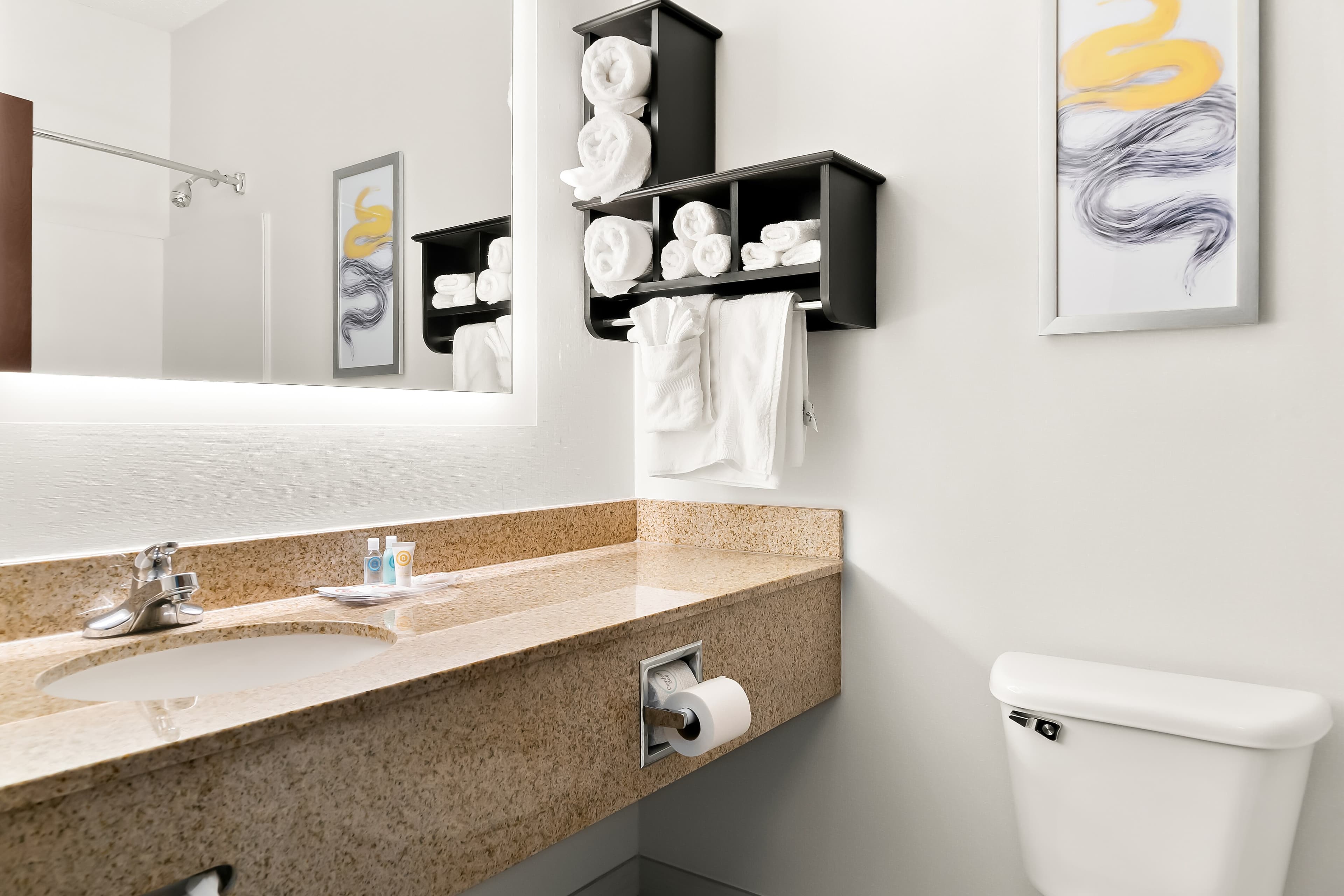Comfort Suites Southfield/Detroit — 19