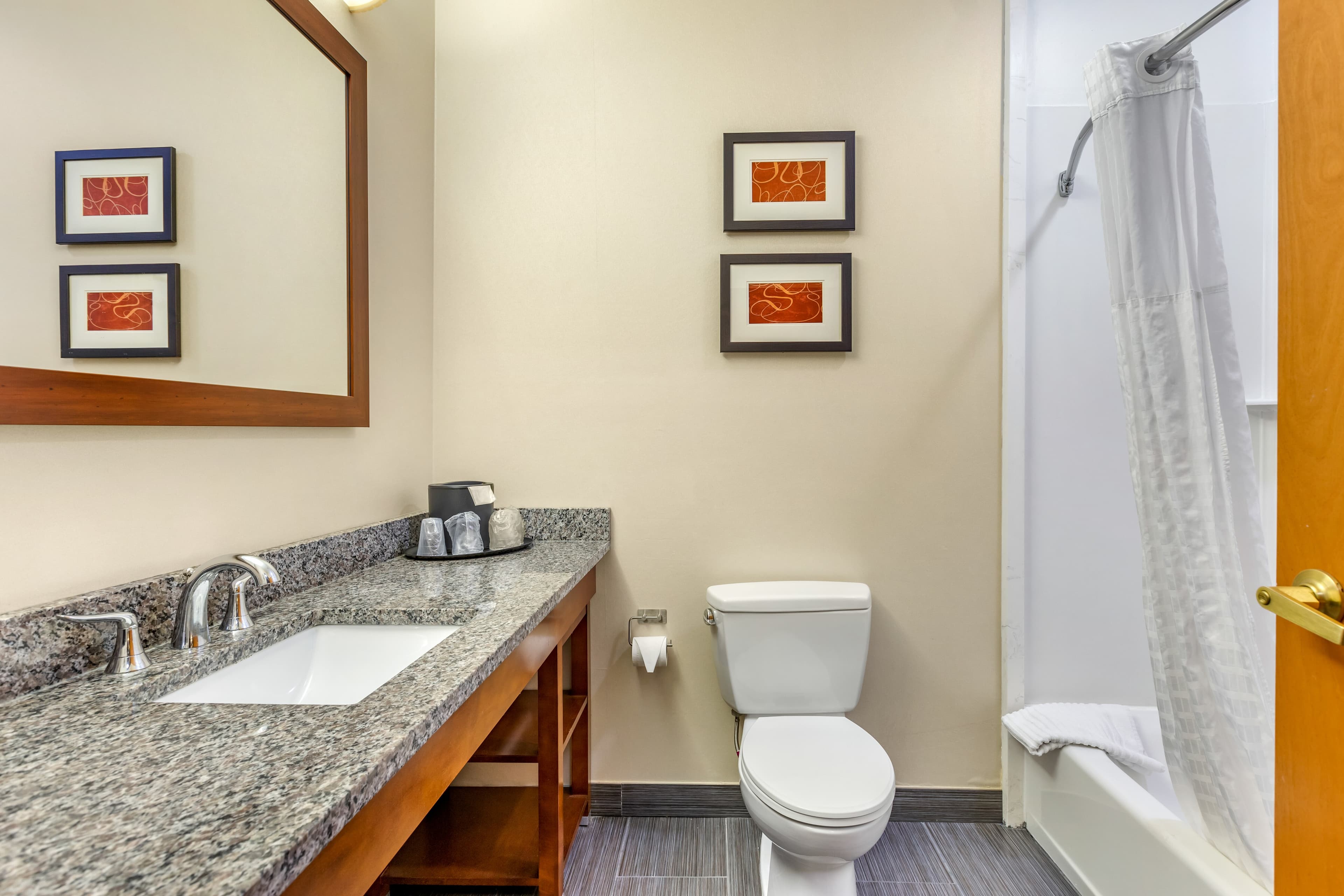 Comfort Suites Southgate-Detroit — 16