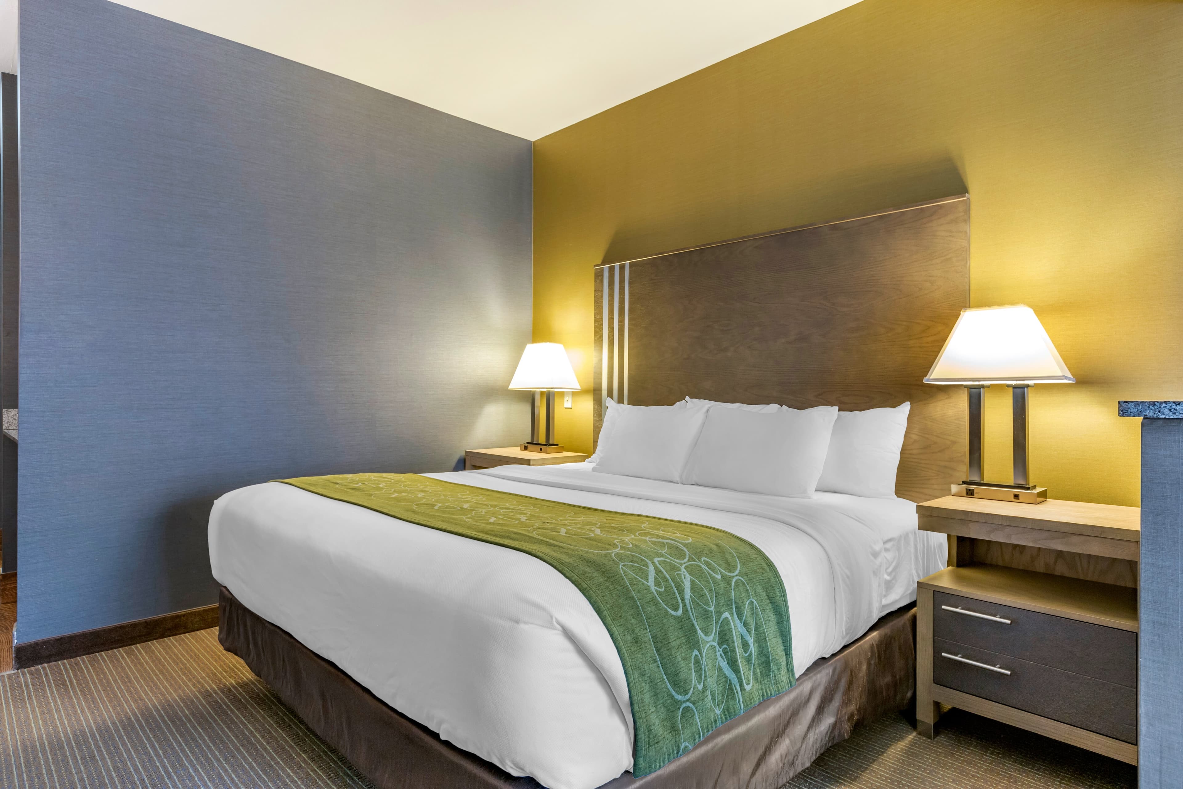 Comfort Suites Southgate-Detroit — 17