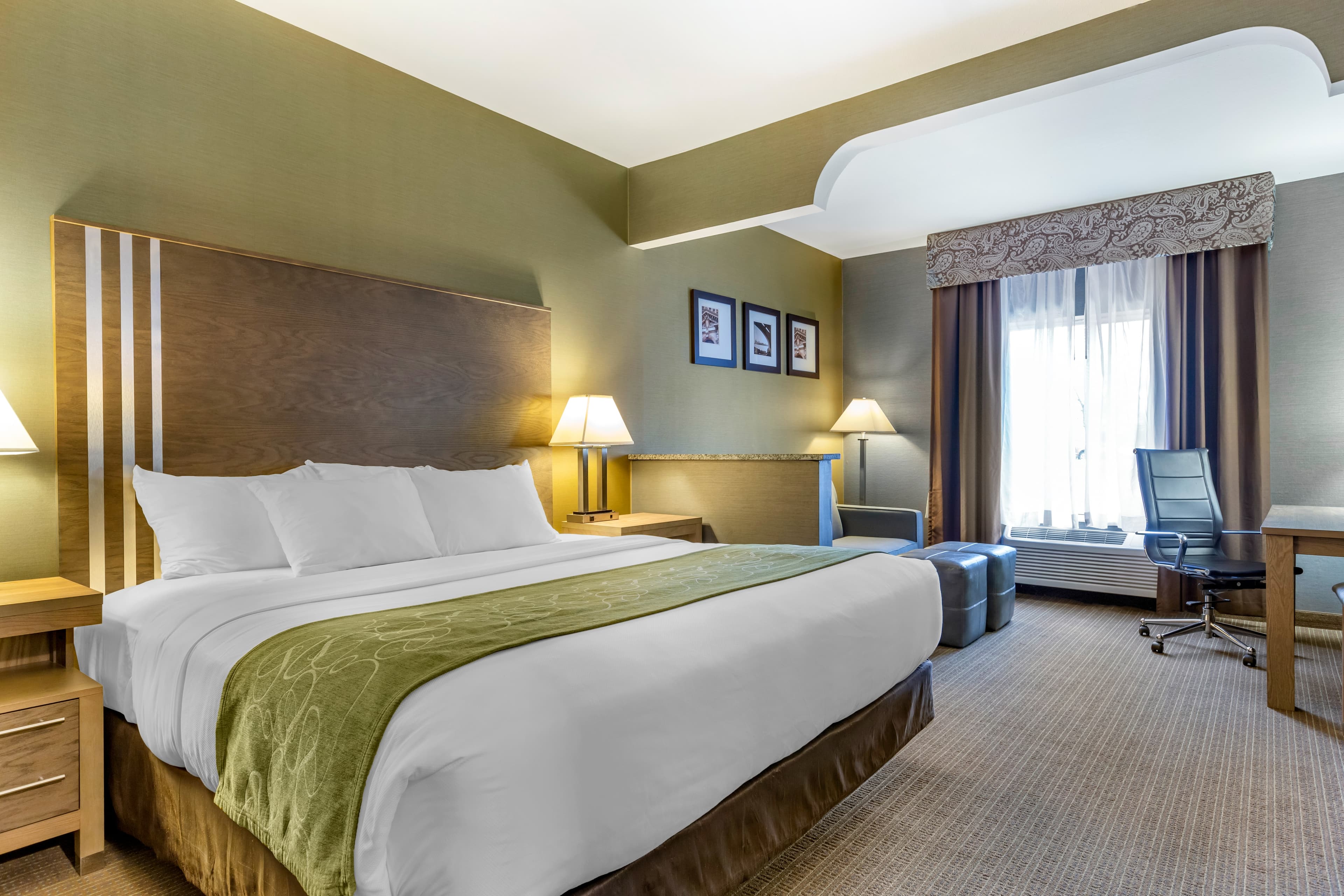 Comfort Suites Southgate-Detroit — 18