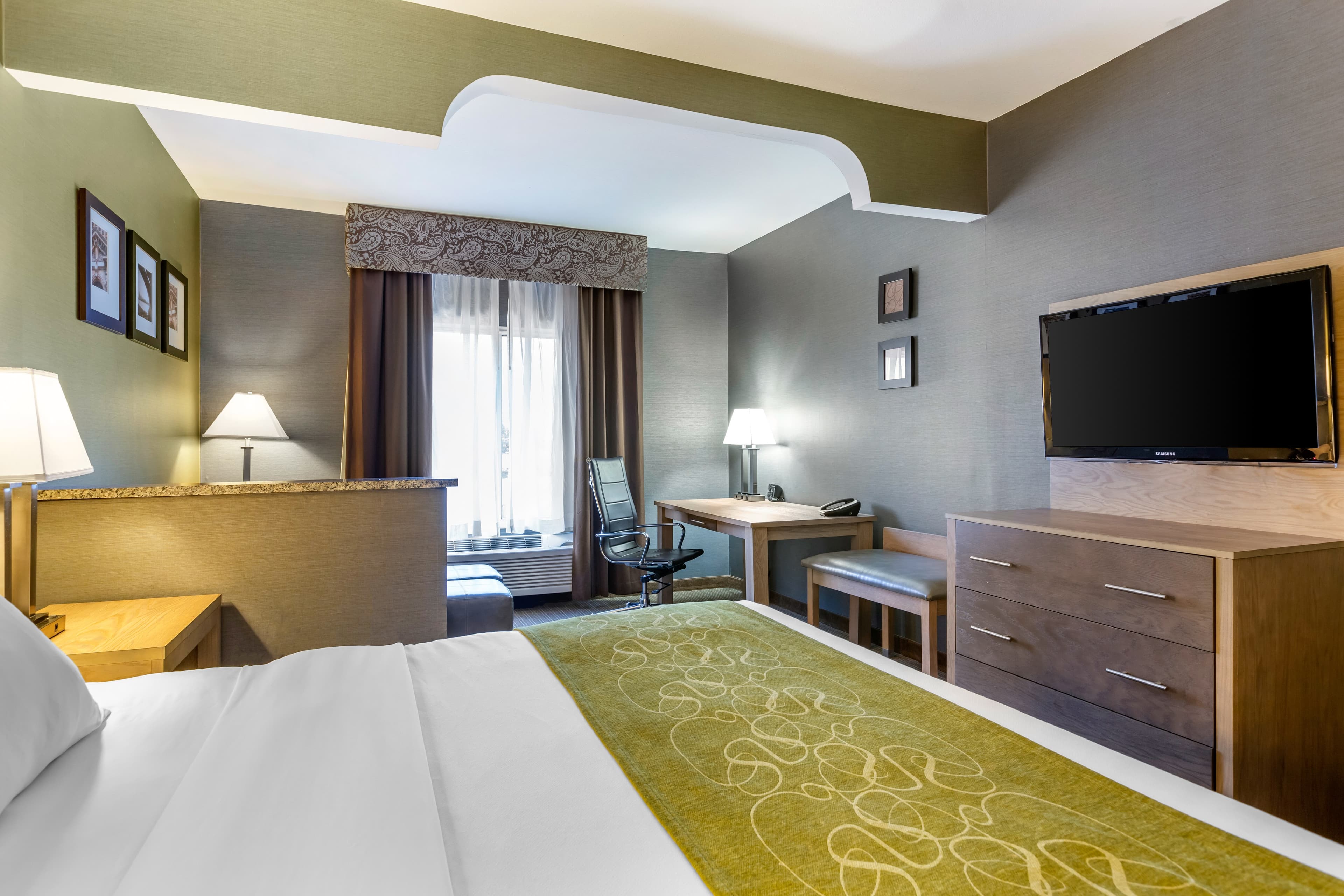 Comfort Suites Southgate-Detroit — 19