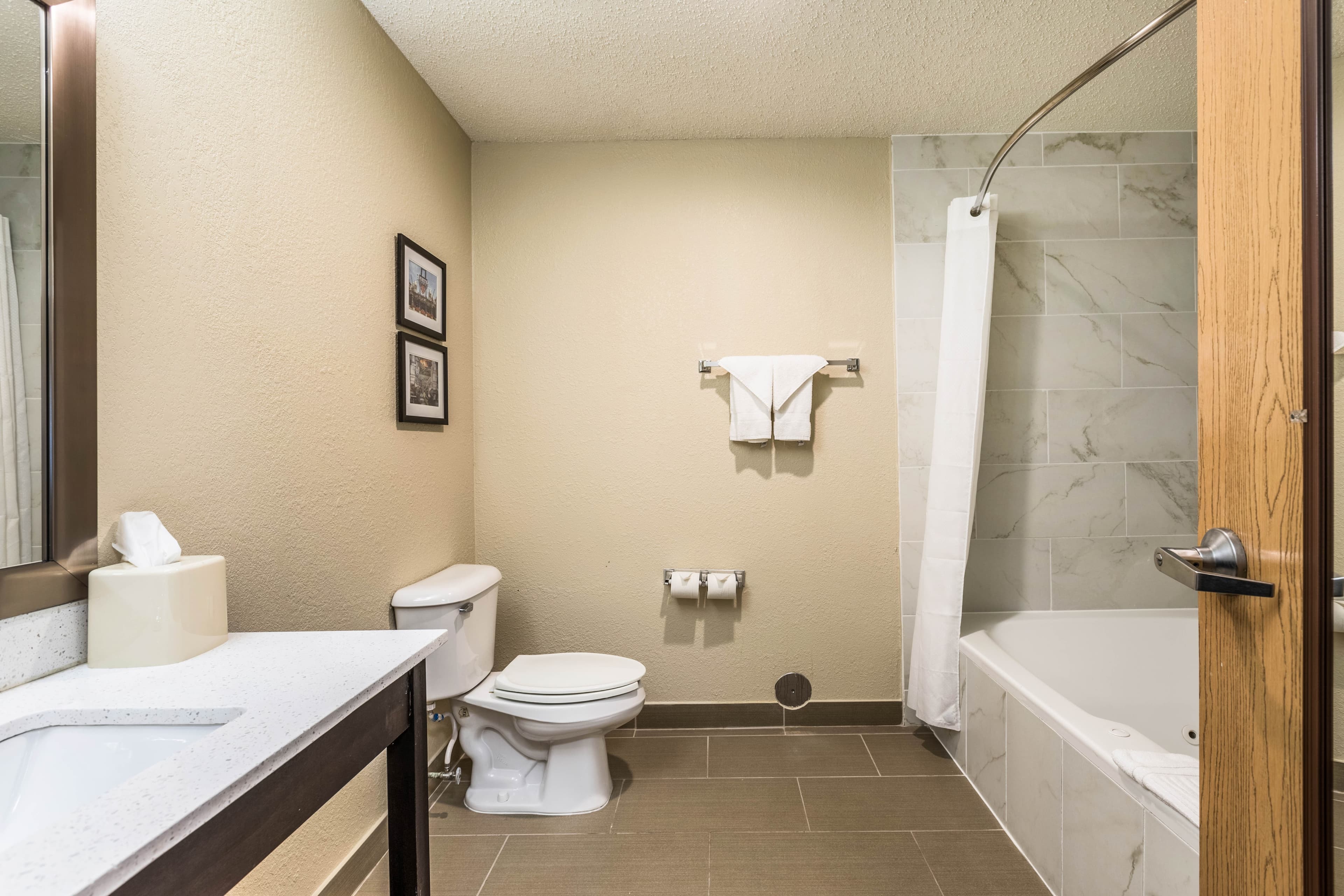 Comfort Inn Detroit Downtown — 14