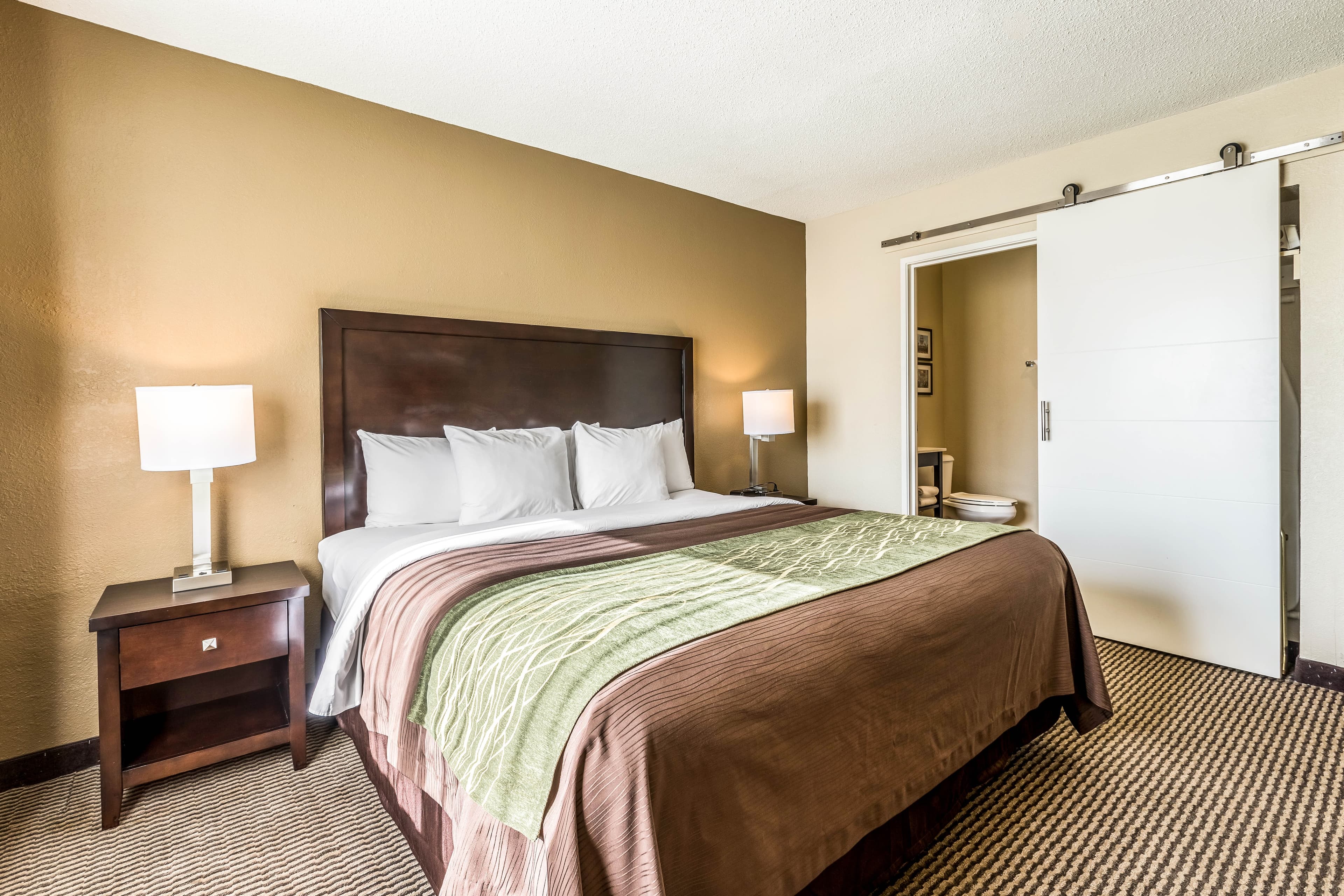 Comfort Inn Detroit Downtown — 10