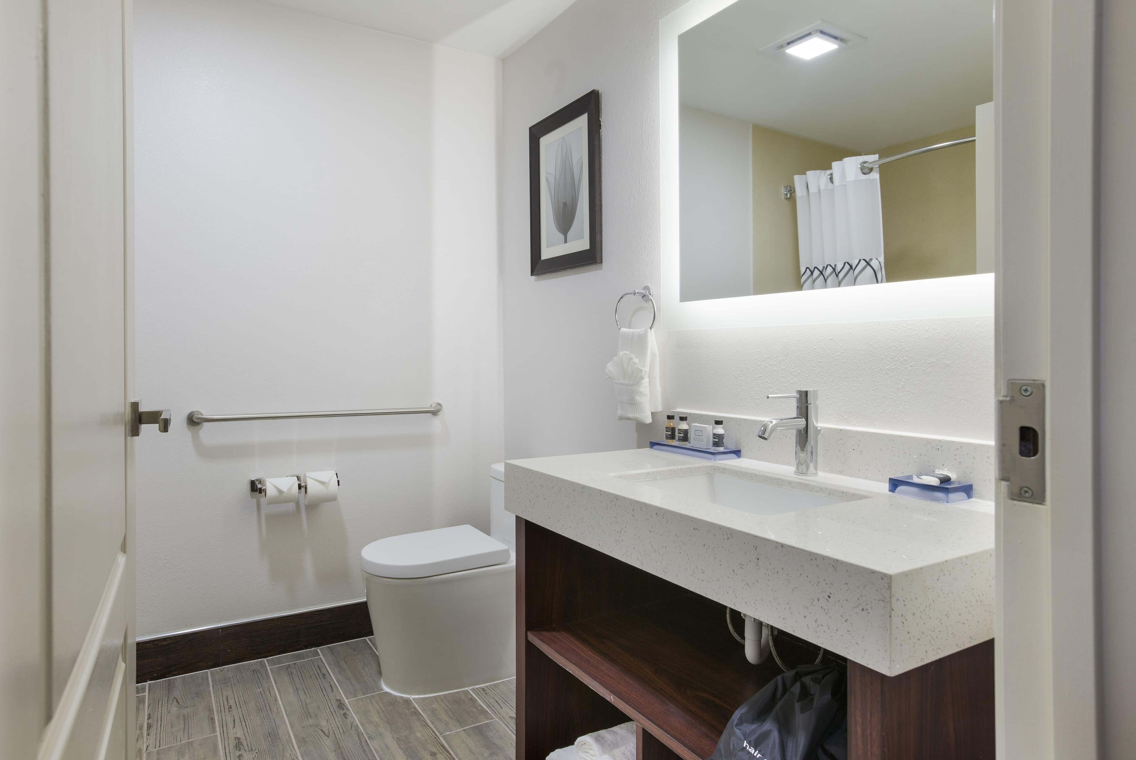 The Leo Collection Detroit, an Ascend Collection Hotel — 18