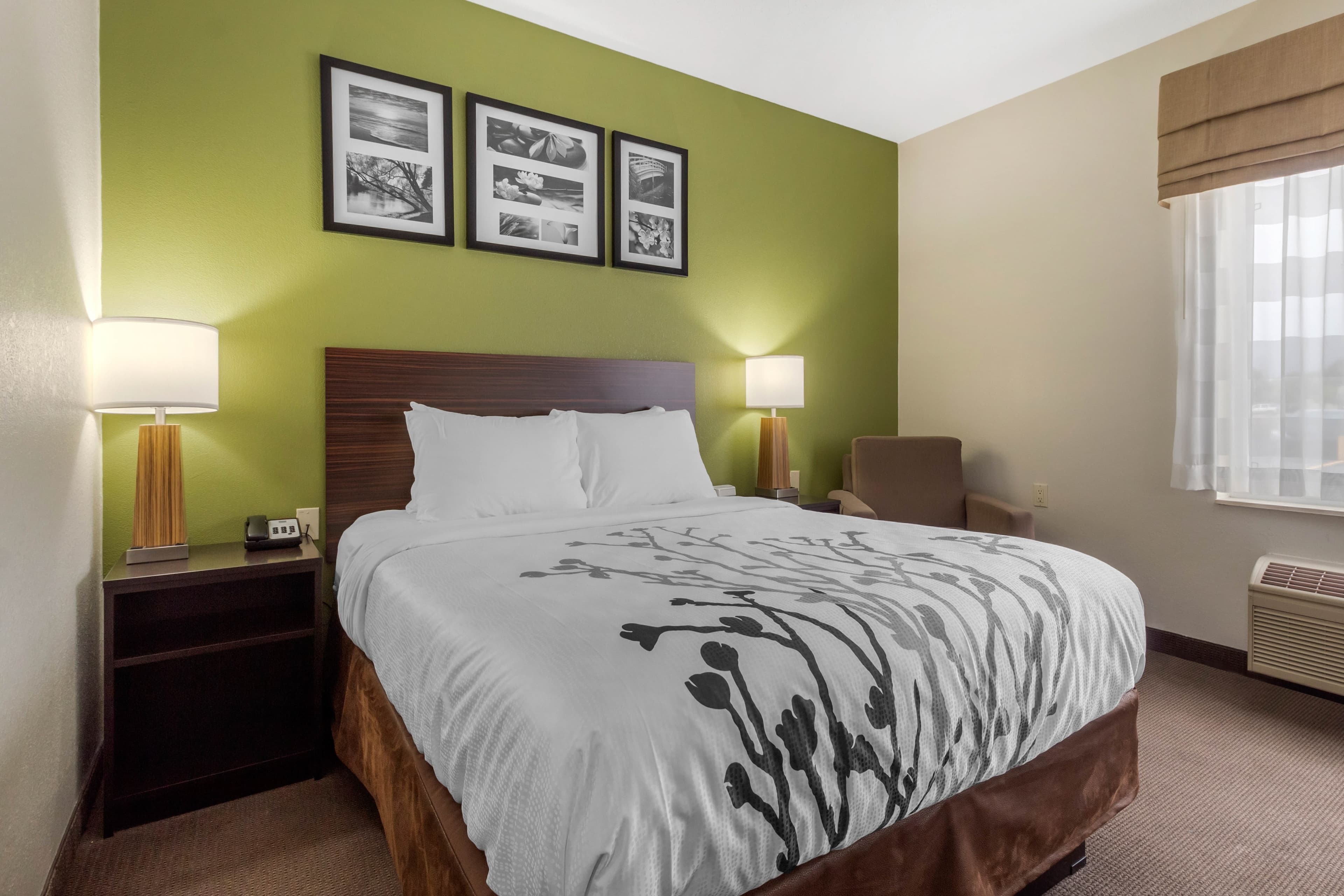 Sleep Inn & Suites Allendale - Image 2