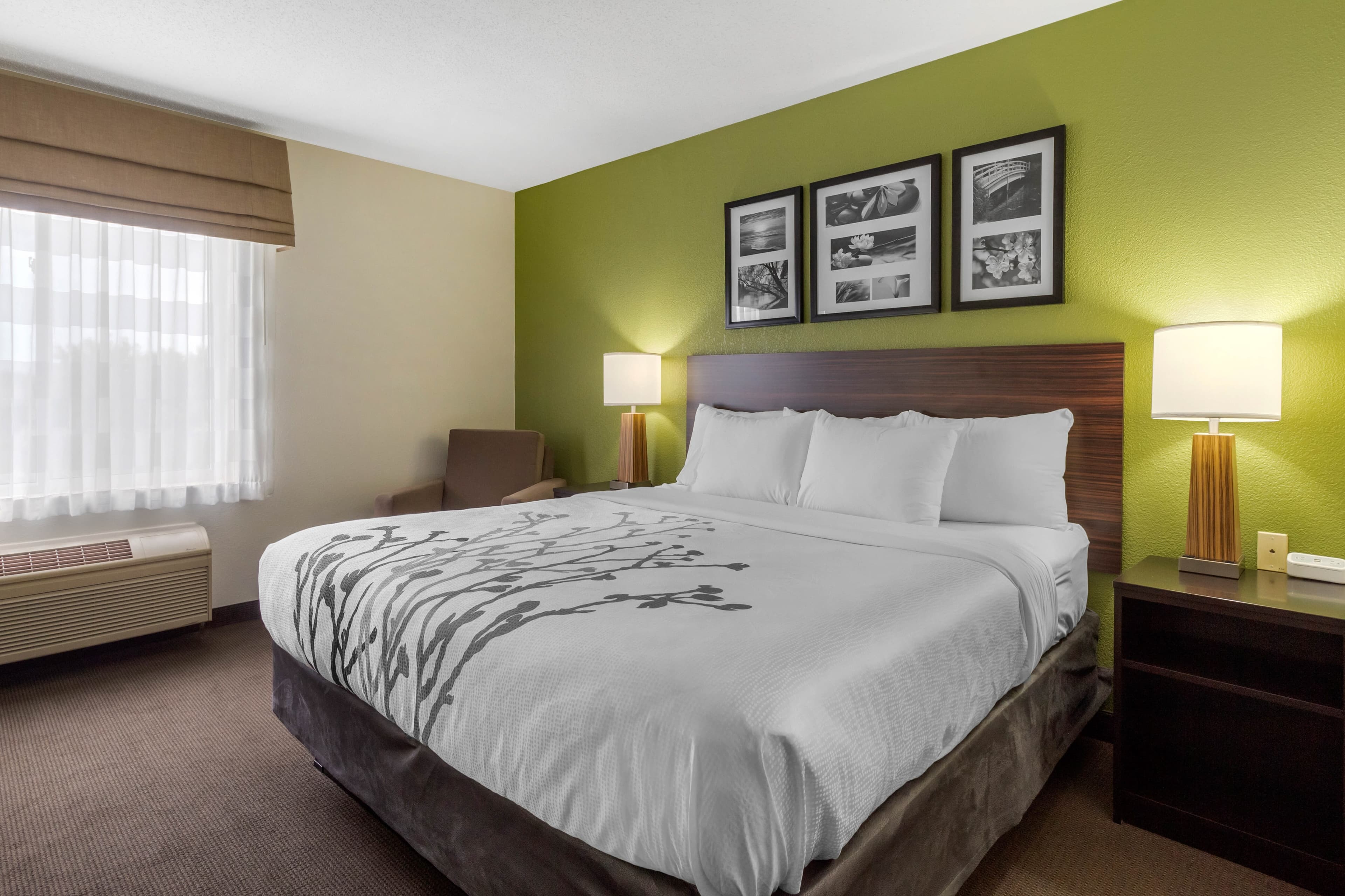 Sleep Inn & Suites Allendale — 8