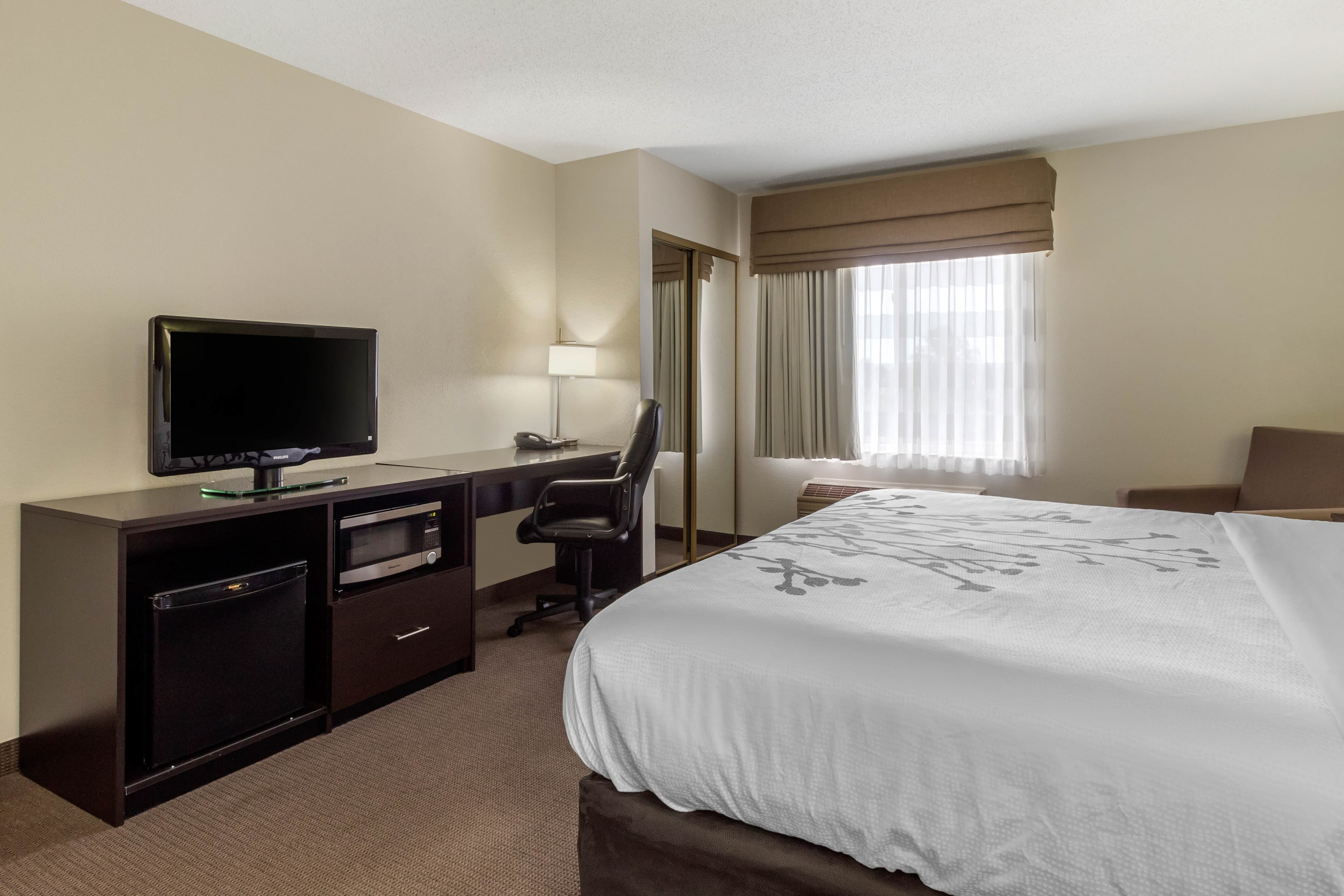 Sleep Inn & Suites Allendale — 9