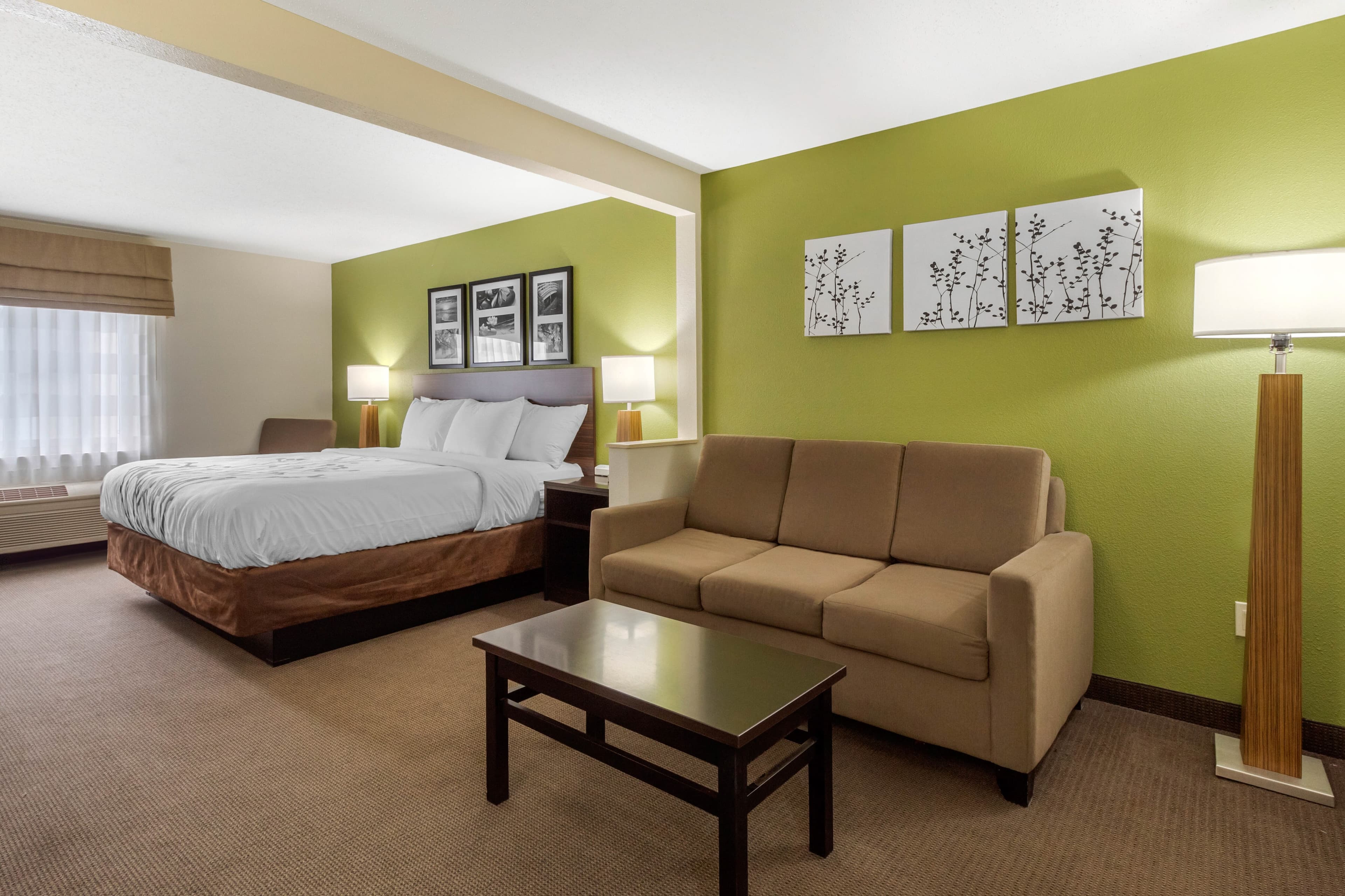 Sleep Inn & Suites Allendale — 19