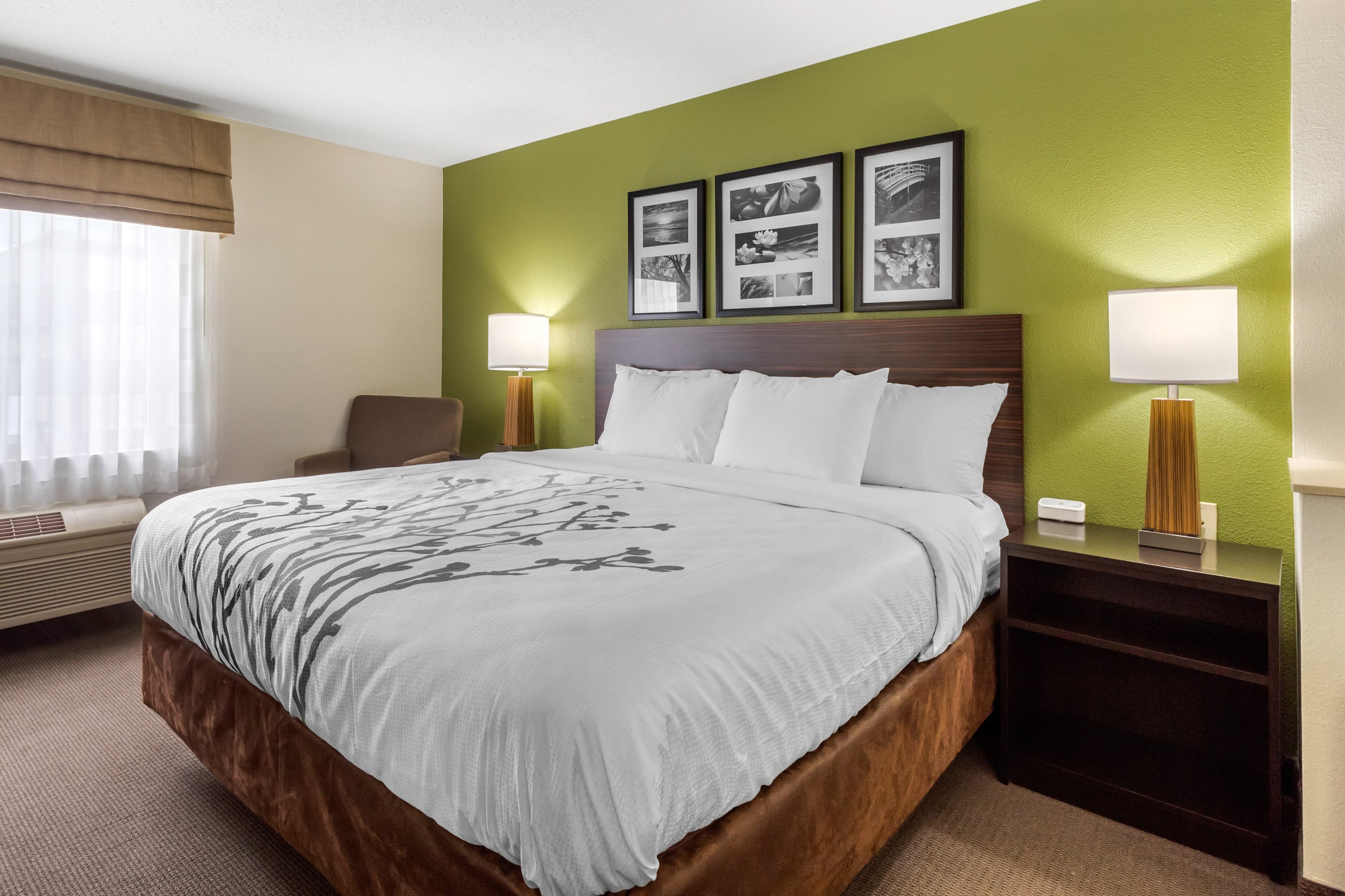 Sleep Inn & Suites Allendale — 20