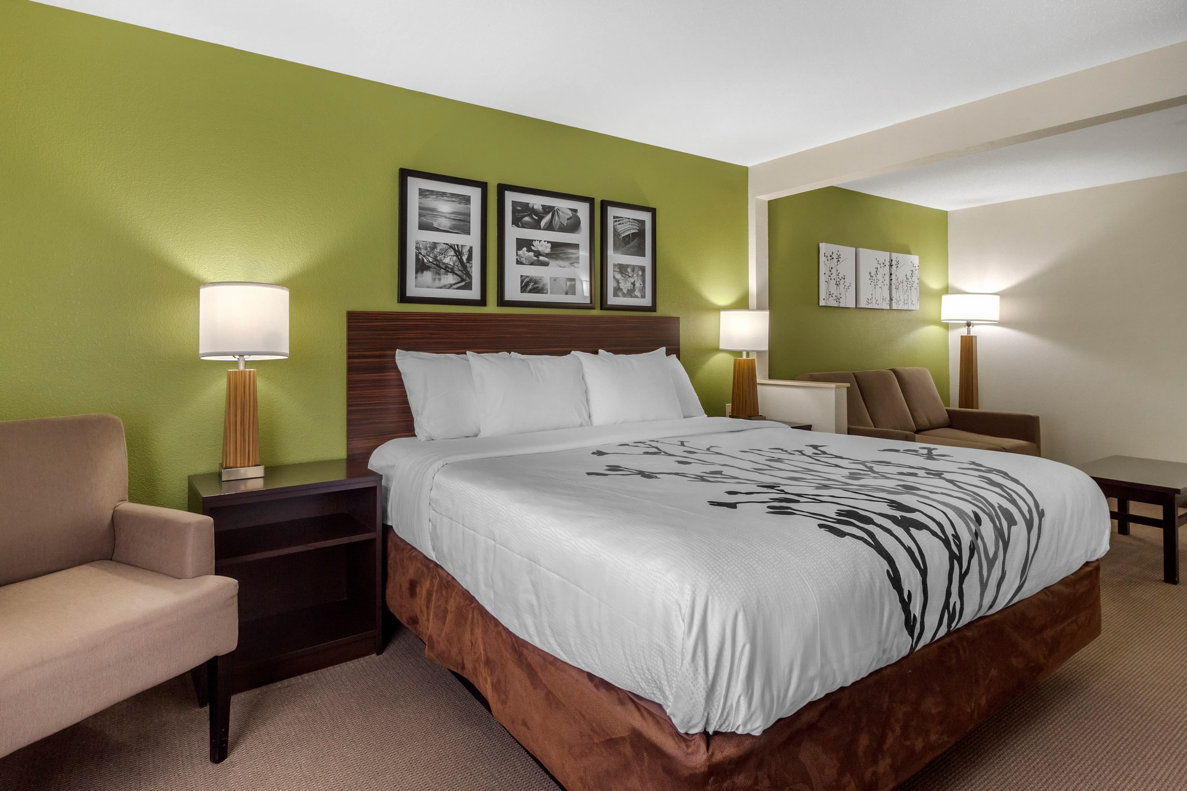 Sleep Inn & Suites Allendale — 21