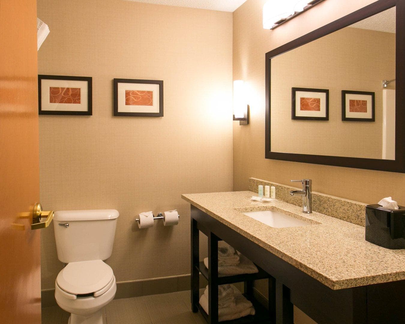 Comfort Suites Benton Harbor - St. Joseph — 23