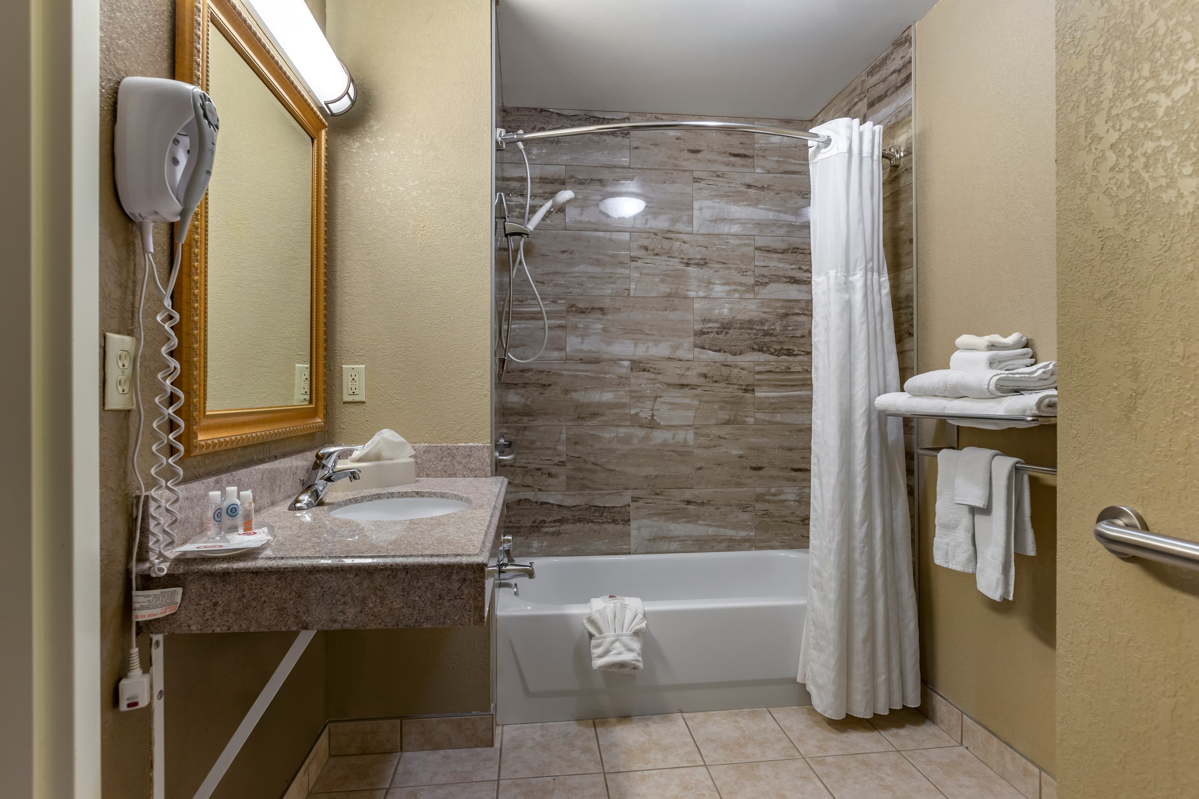 Comfort Suites Grand Rapids South - Image 5