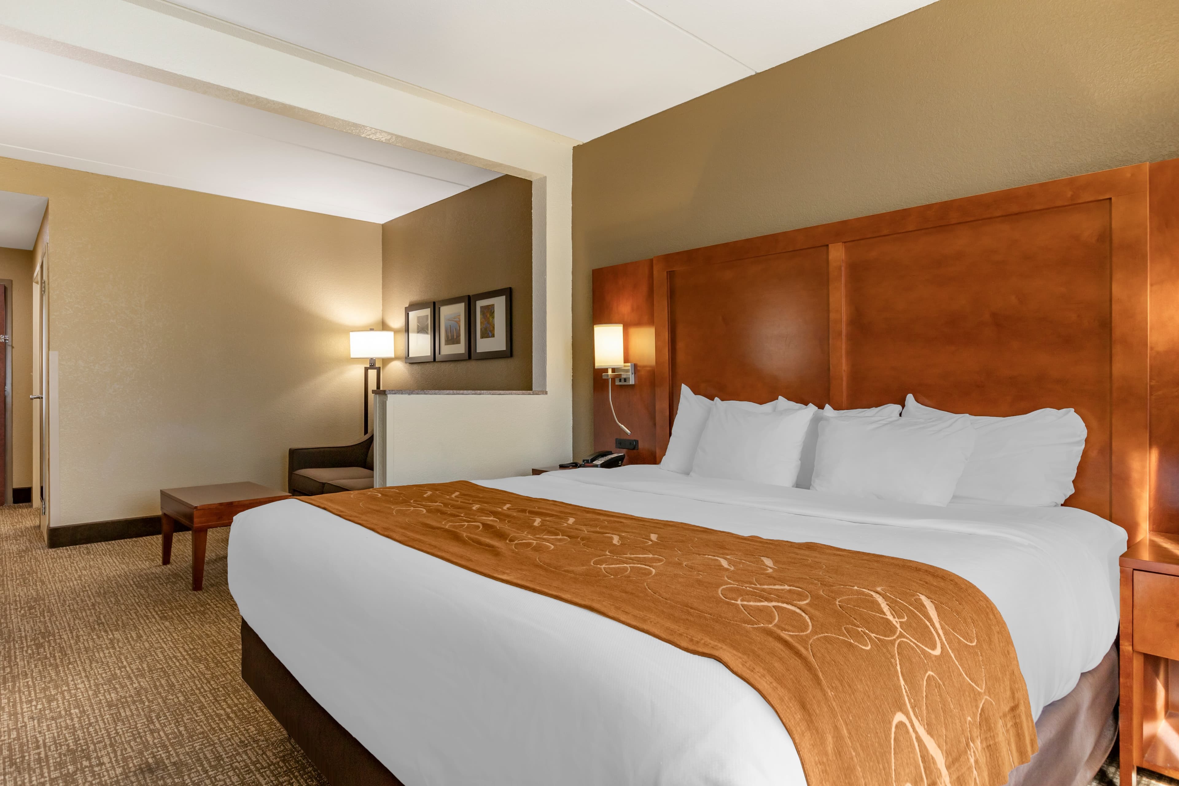 Comfort Suites Grand Rapids South — 9