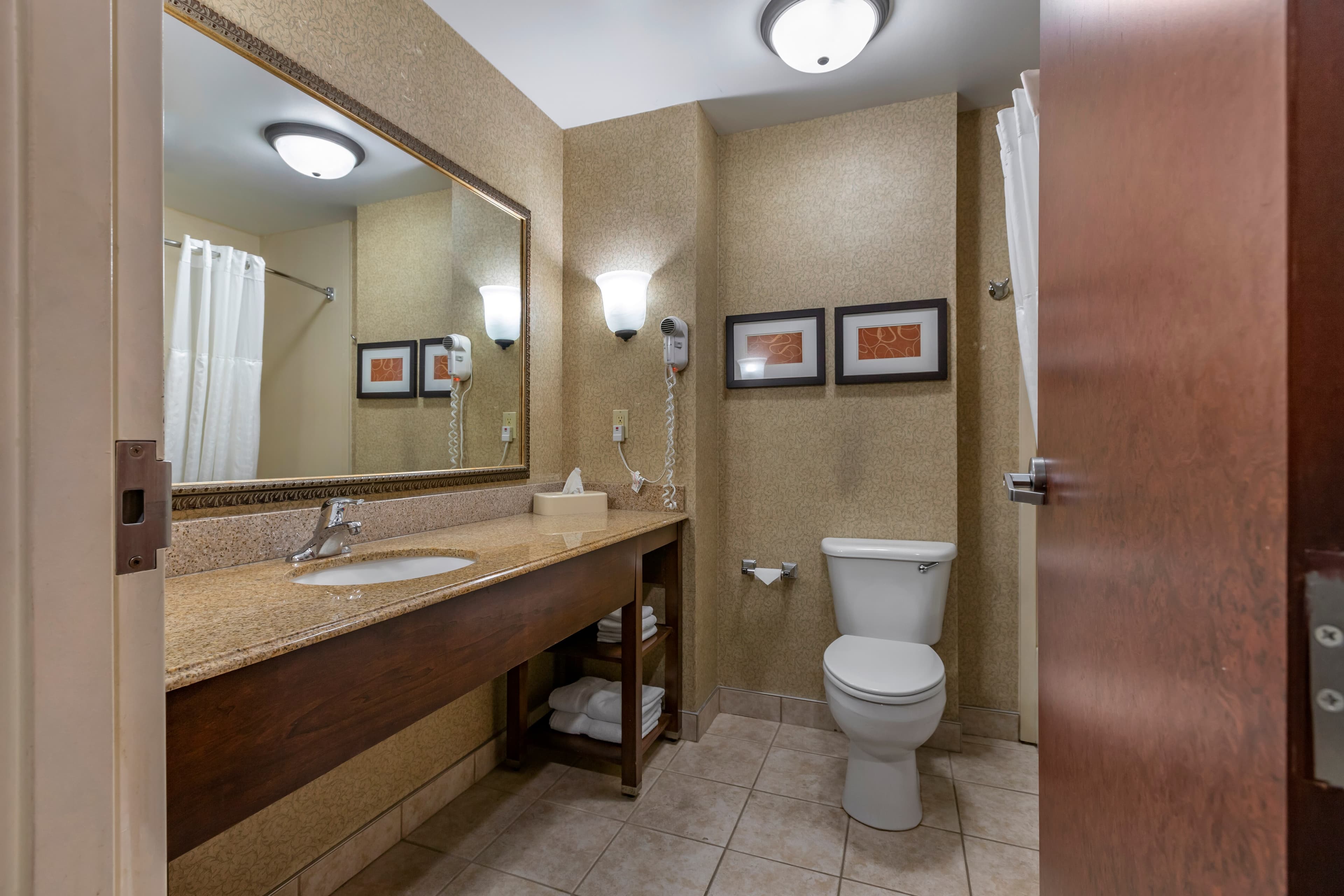 Comfort Suites Grand Rapids South — 10