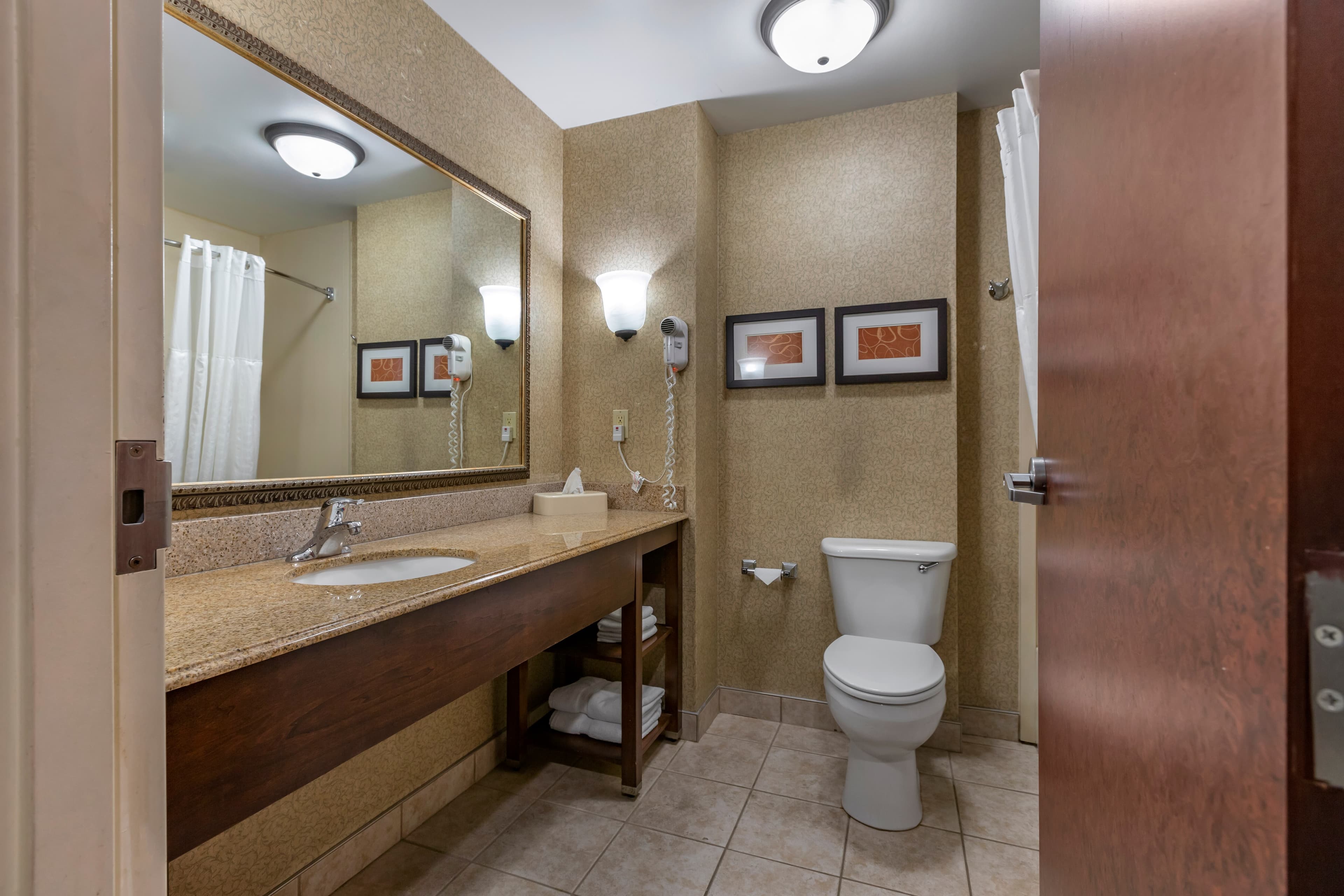 Comfort Suites Grand Rapids South — 22