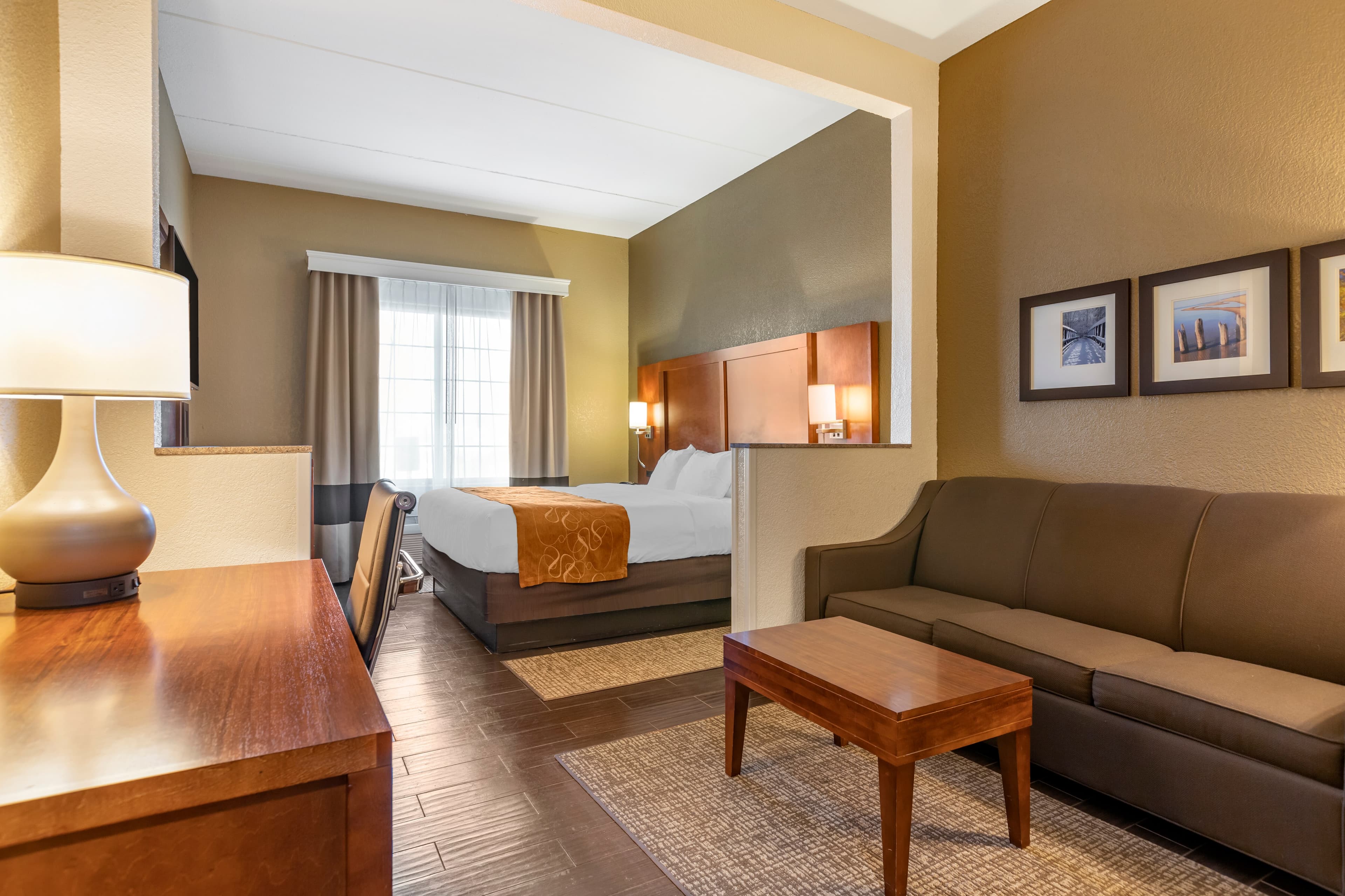 Comfort Suites Grand Rapids South — 13
