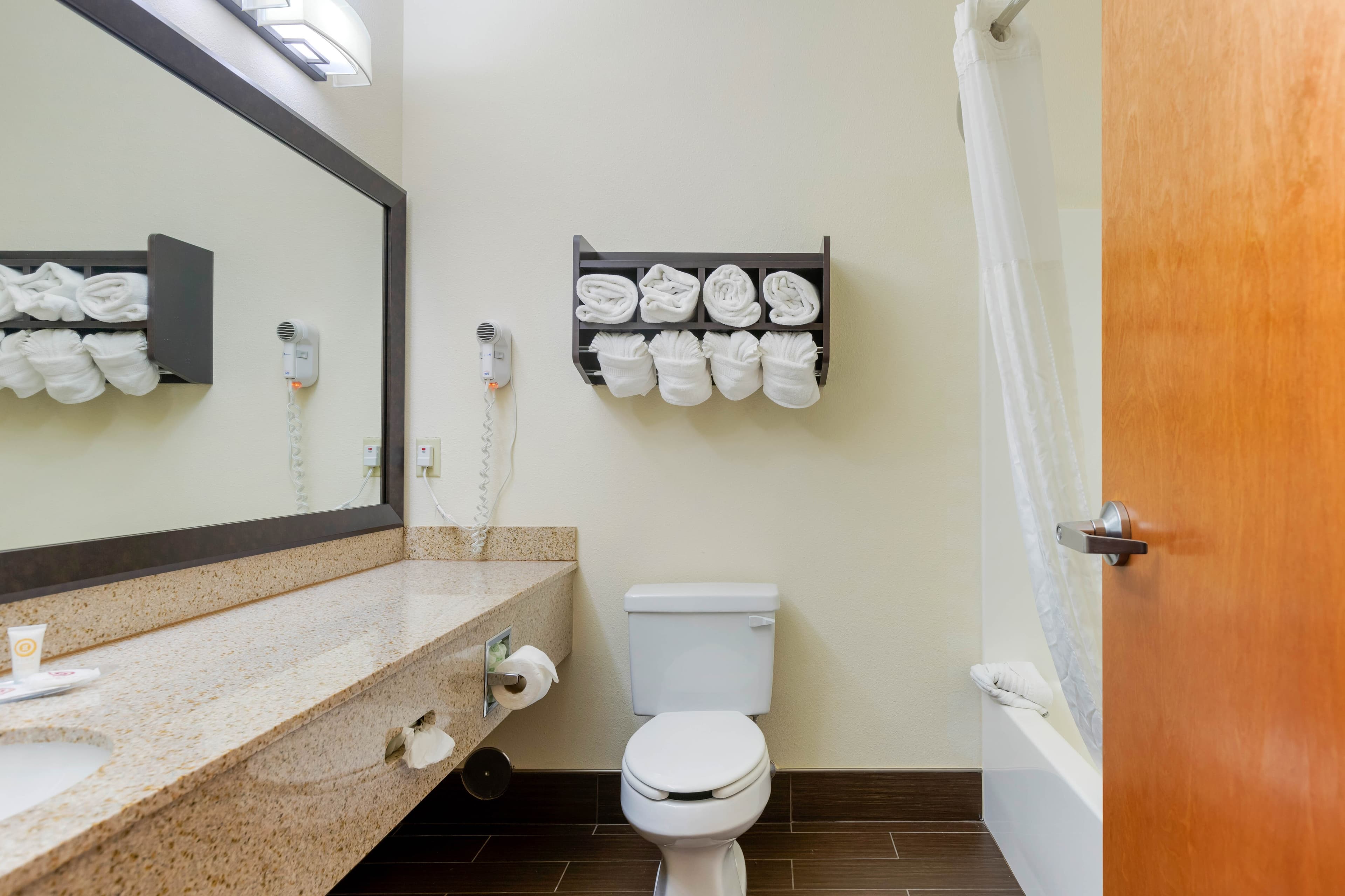 Comfort Suites Stevensville - St. Joseph — 22