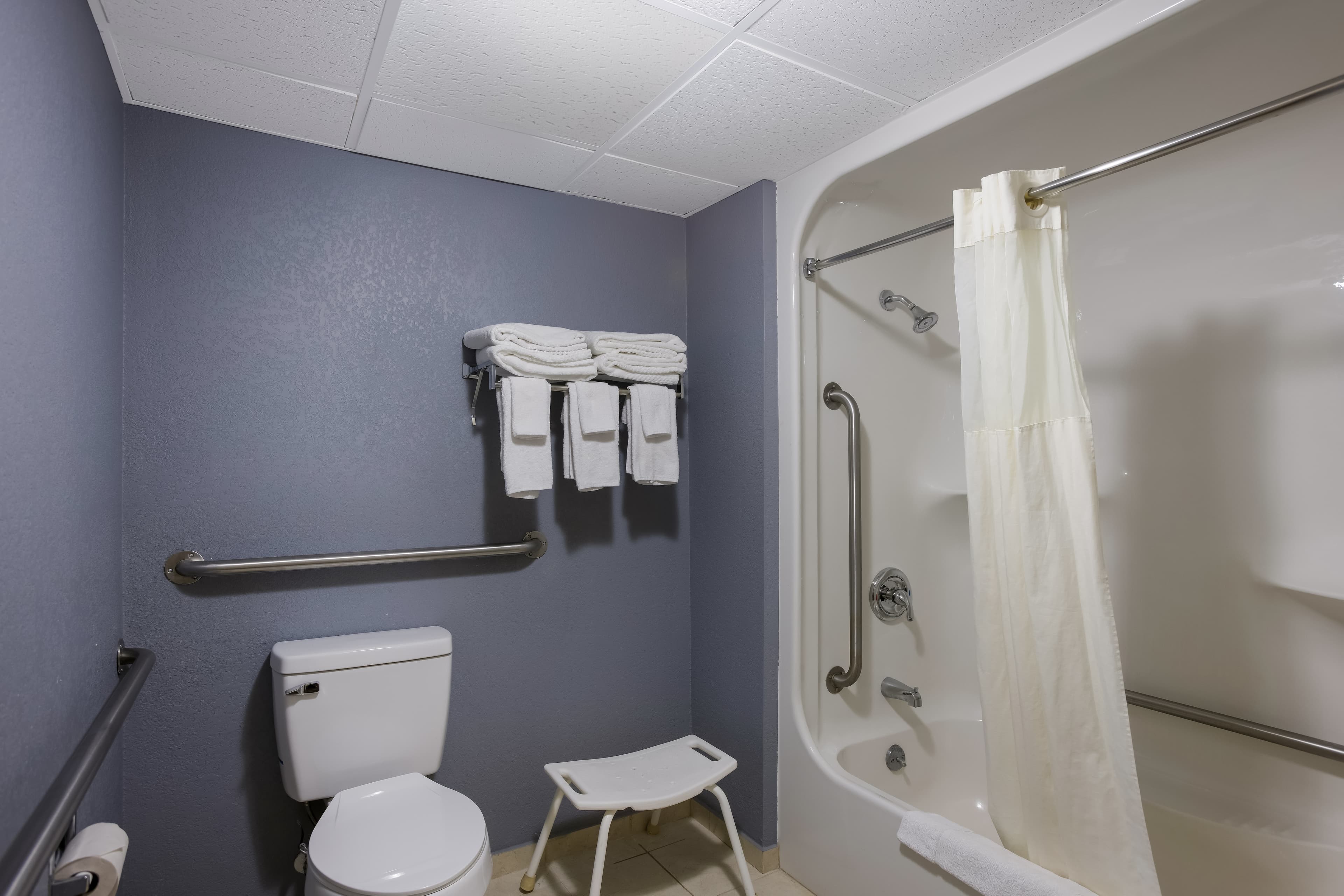 Quality Inn & Suites Big Rapids near University - Image 5