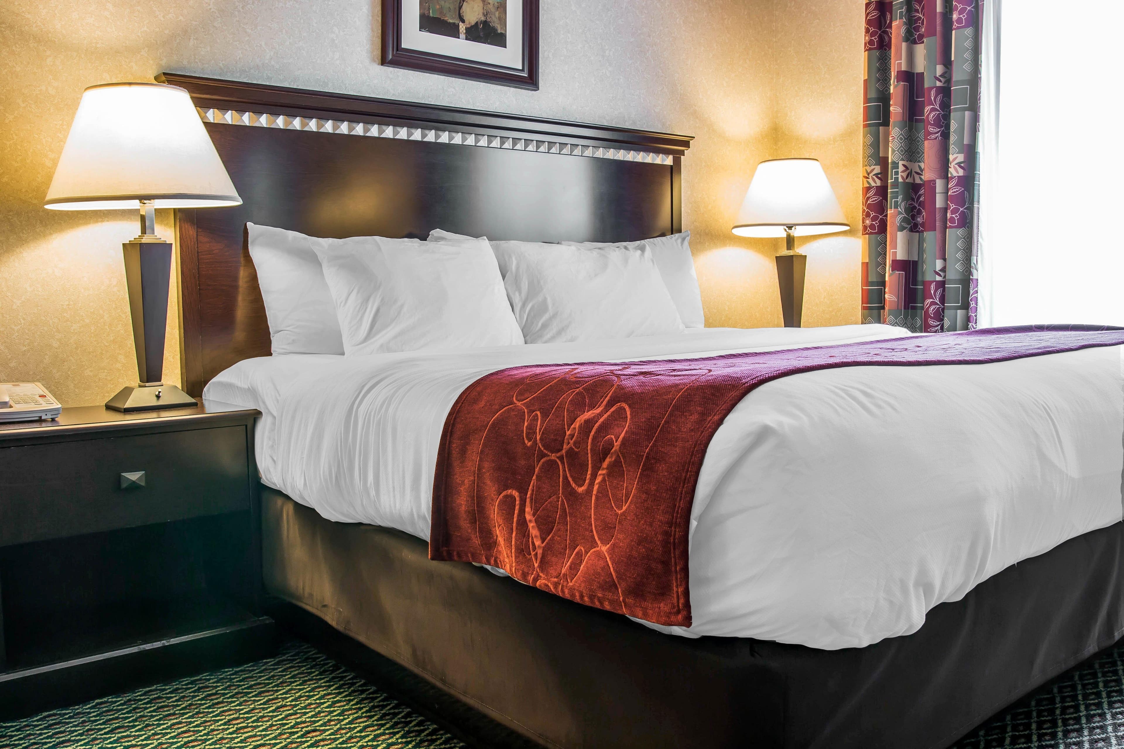 Comfort Suites Canton - Detroit - Image 2