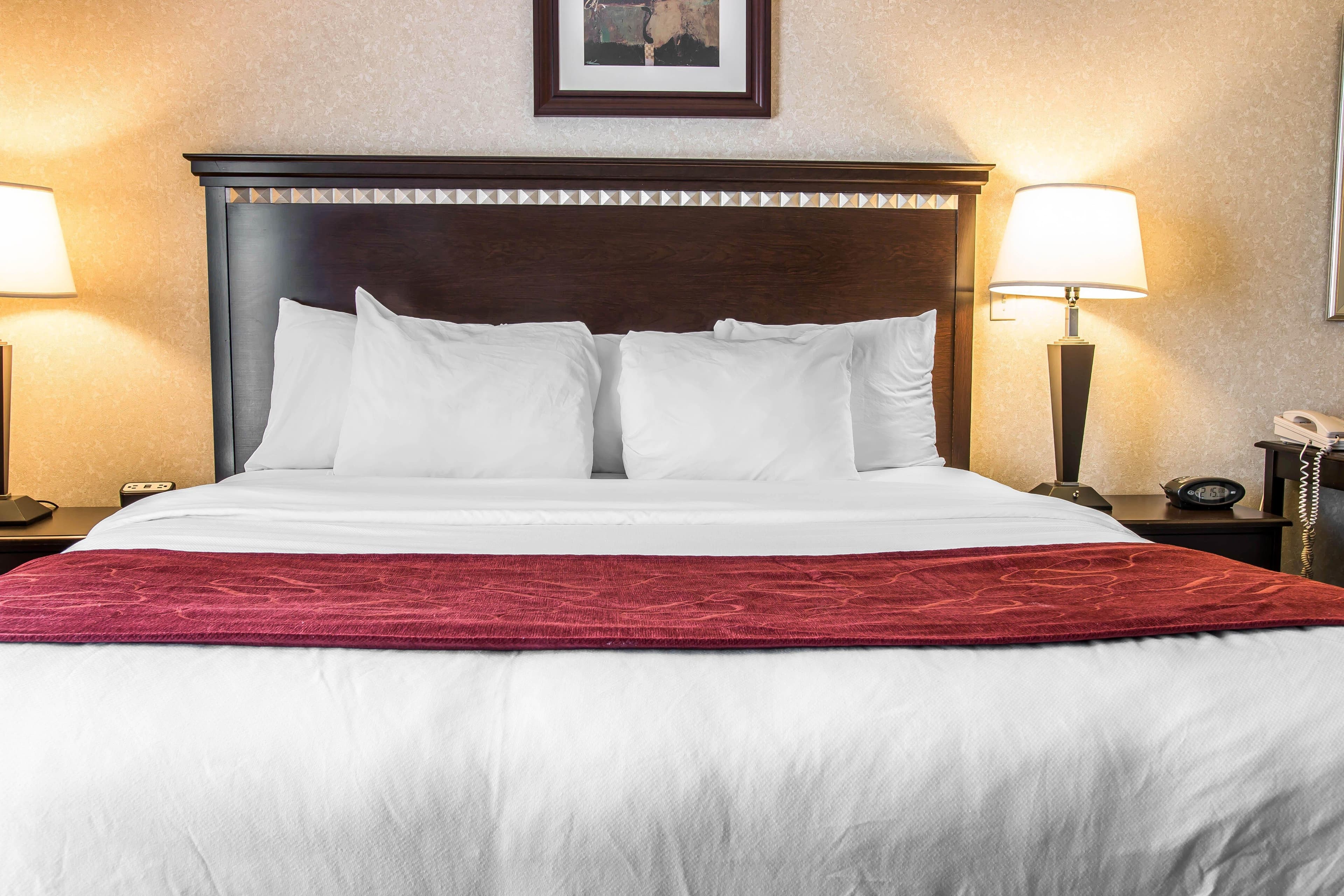 Comfort Suites Canton - Detroit — 11
