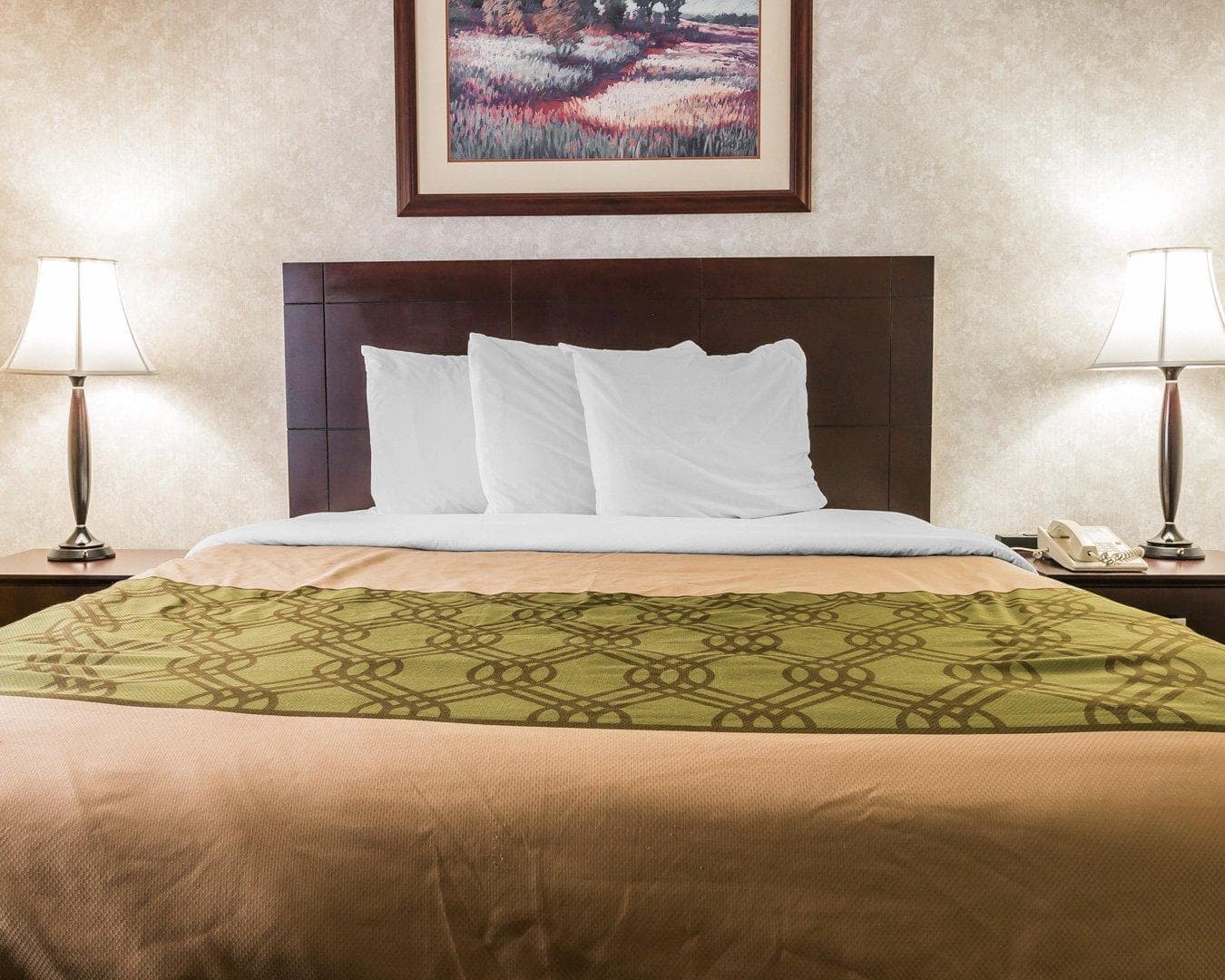 Econo Lodge & Suites Grand Rapids Airport - Image 4