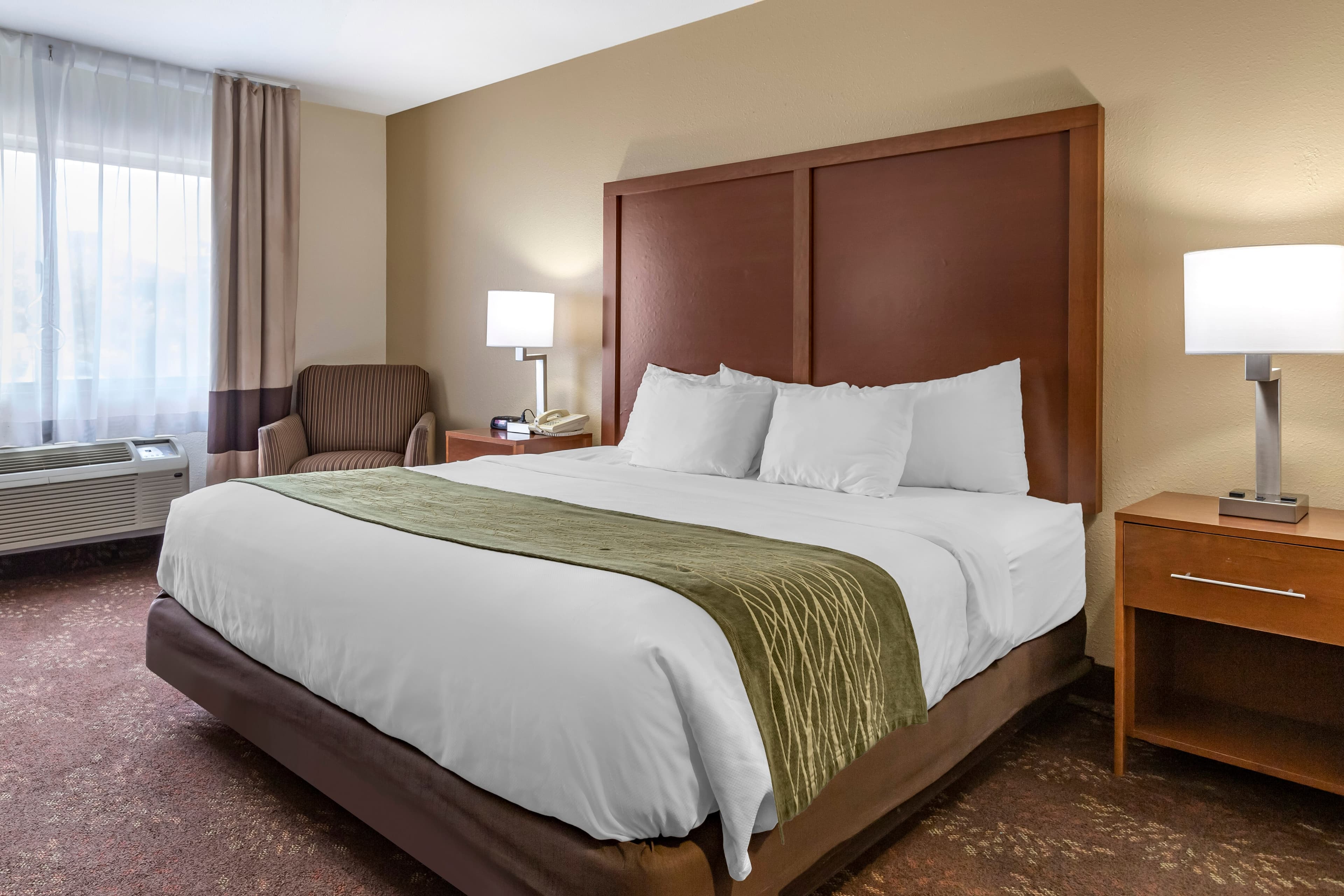 Comfort Inn Okemos - East Lansing - Image 2