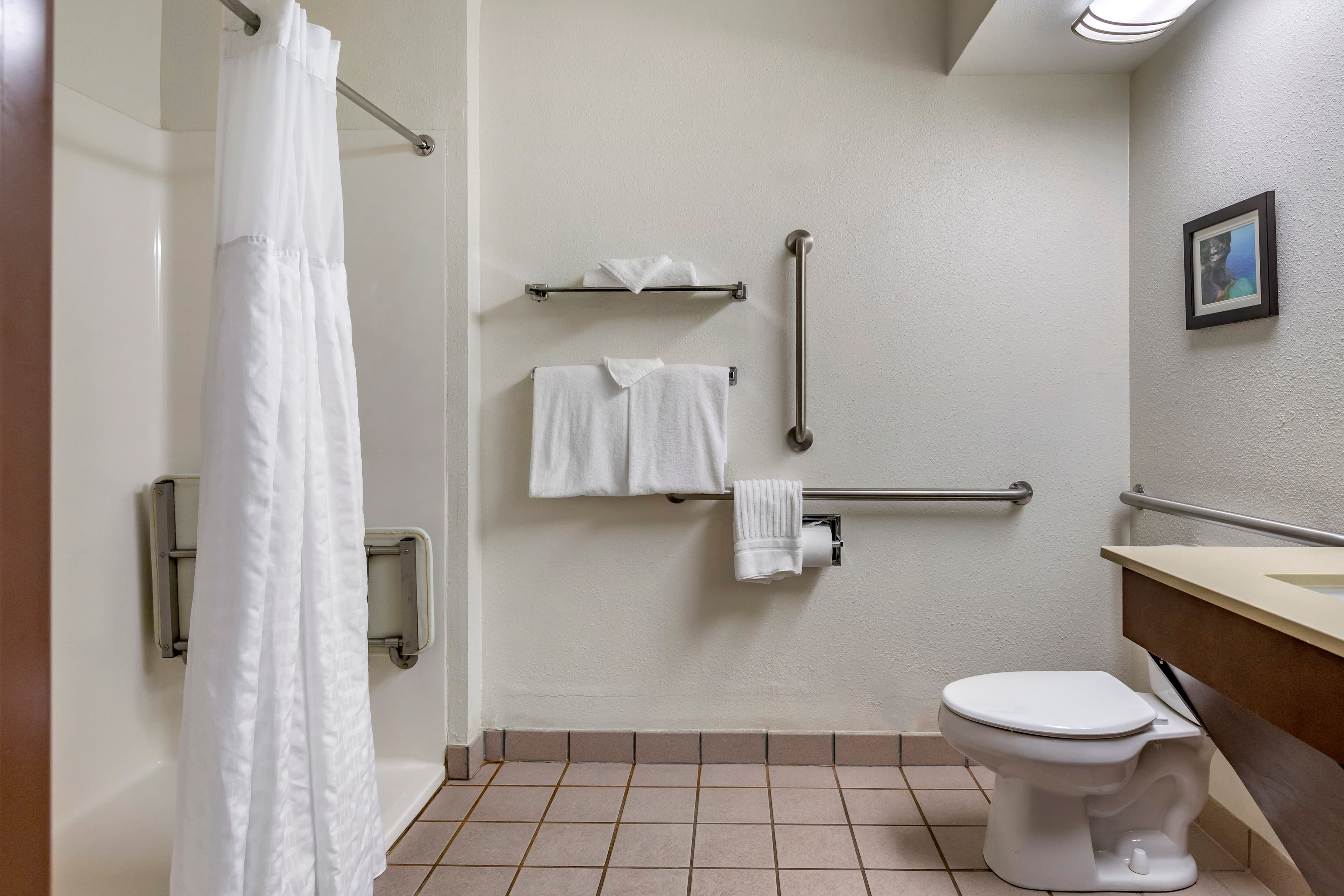 Comfort Inn Okemos - East Lansing - Image 5