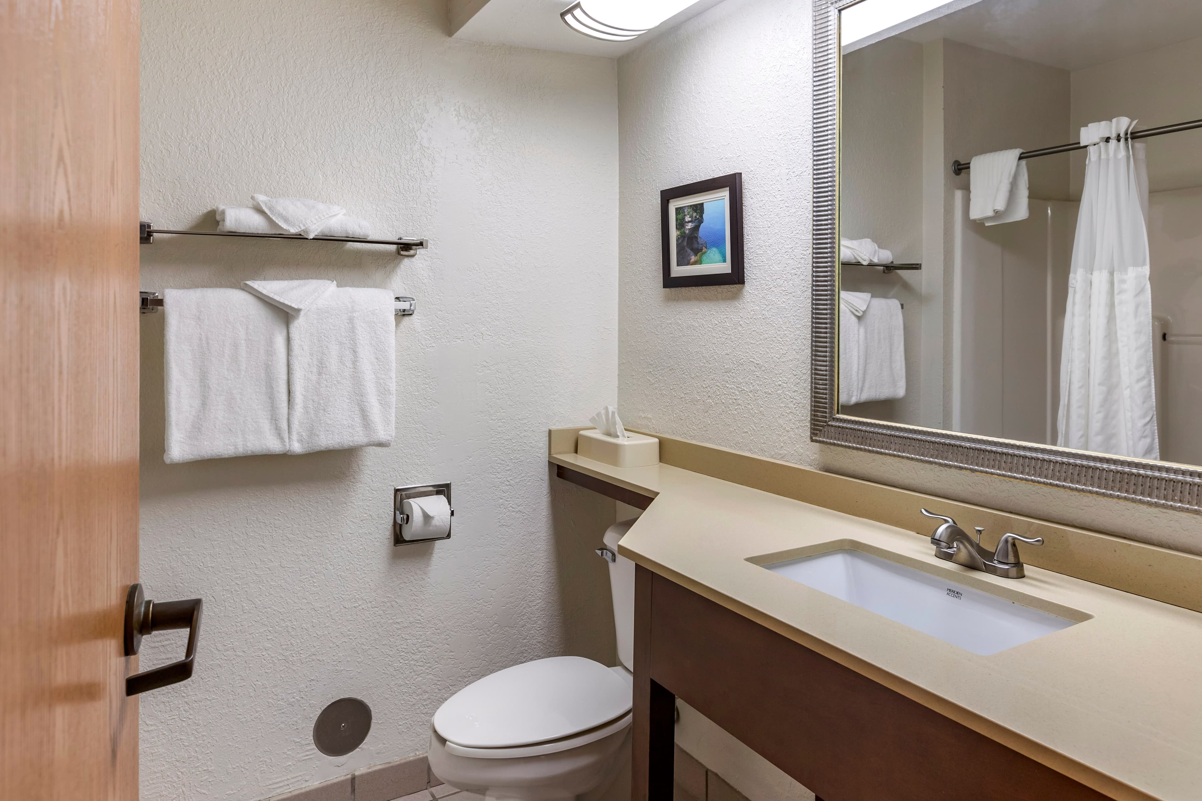 Comfort Inn Okemos - East Lansing — 9